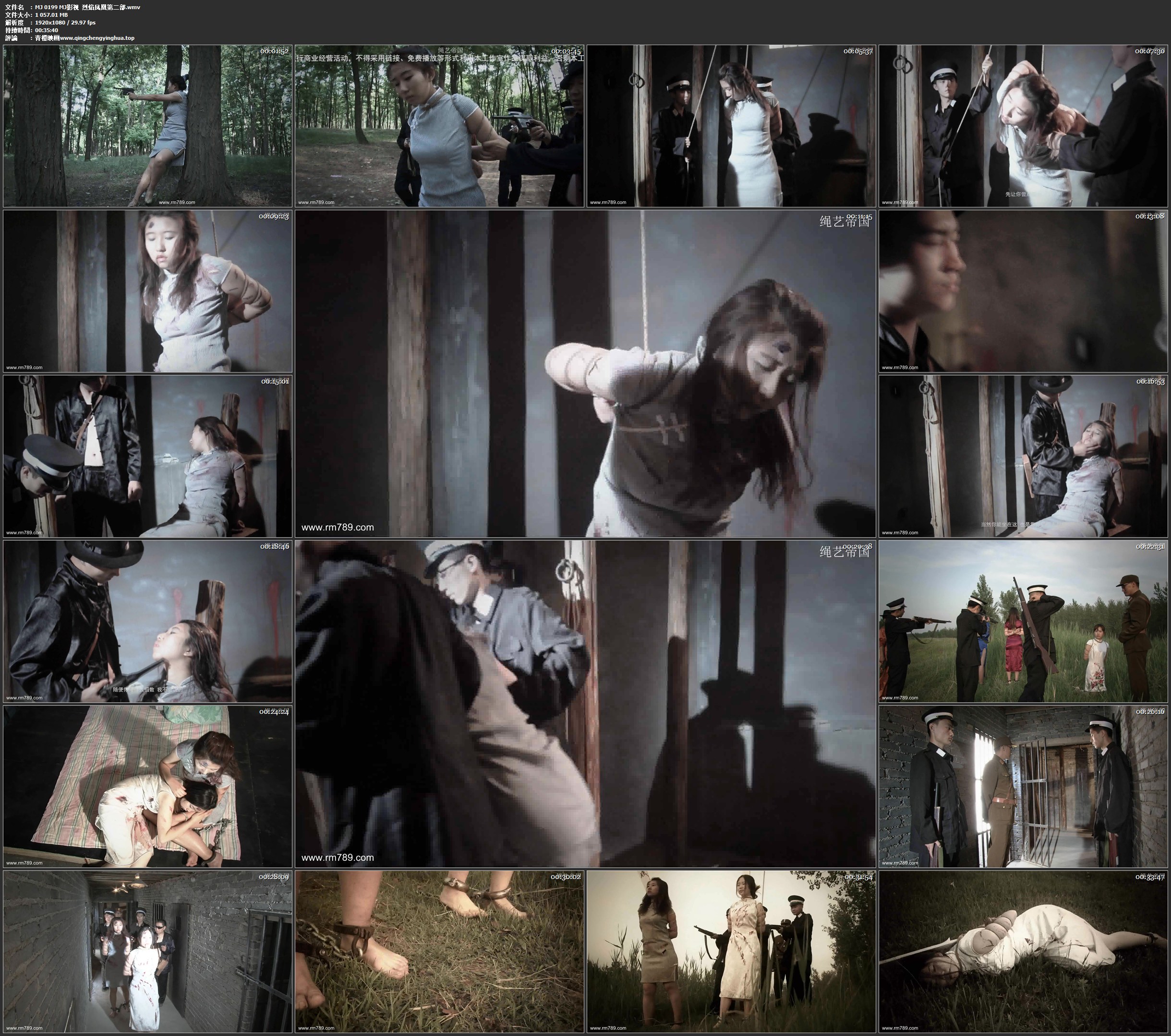 MJ影视 烈焰凤凰 第二部