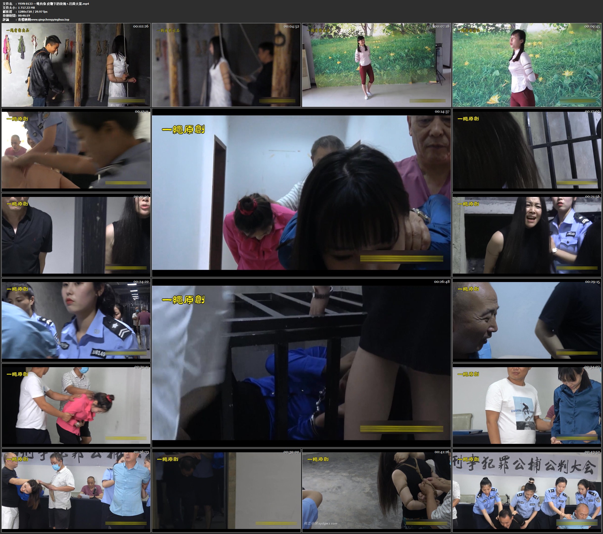 一绳有你 皮鞭下的玫瑰 6.14扫黄大案