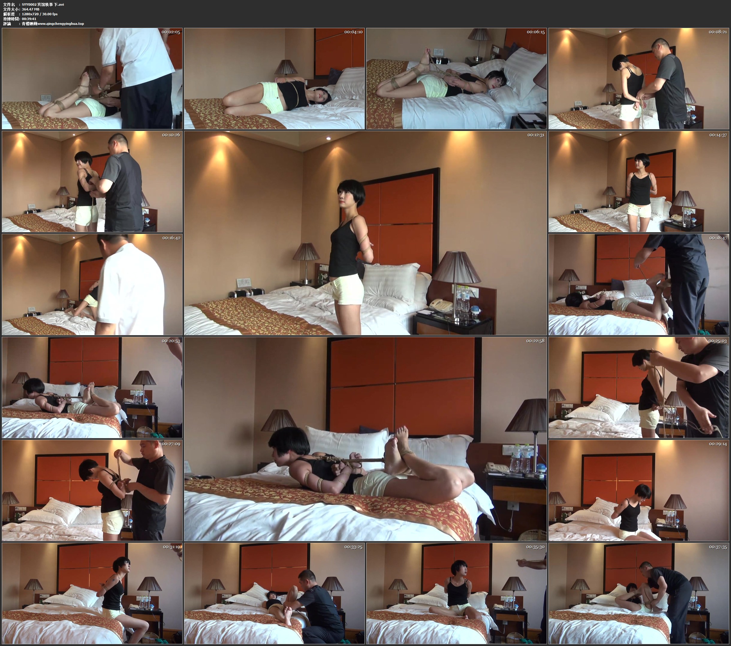 神艺缘 宾馆轶事 下