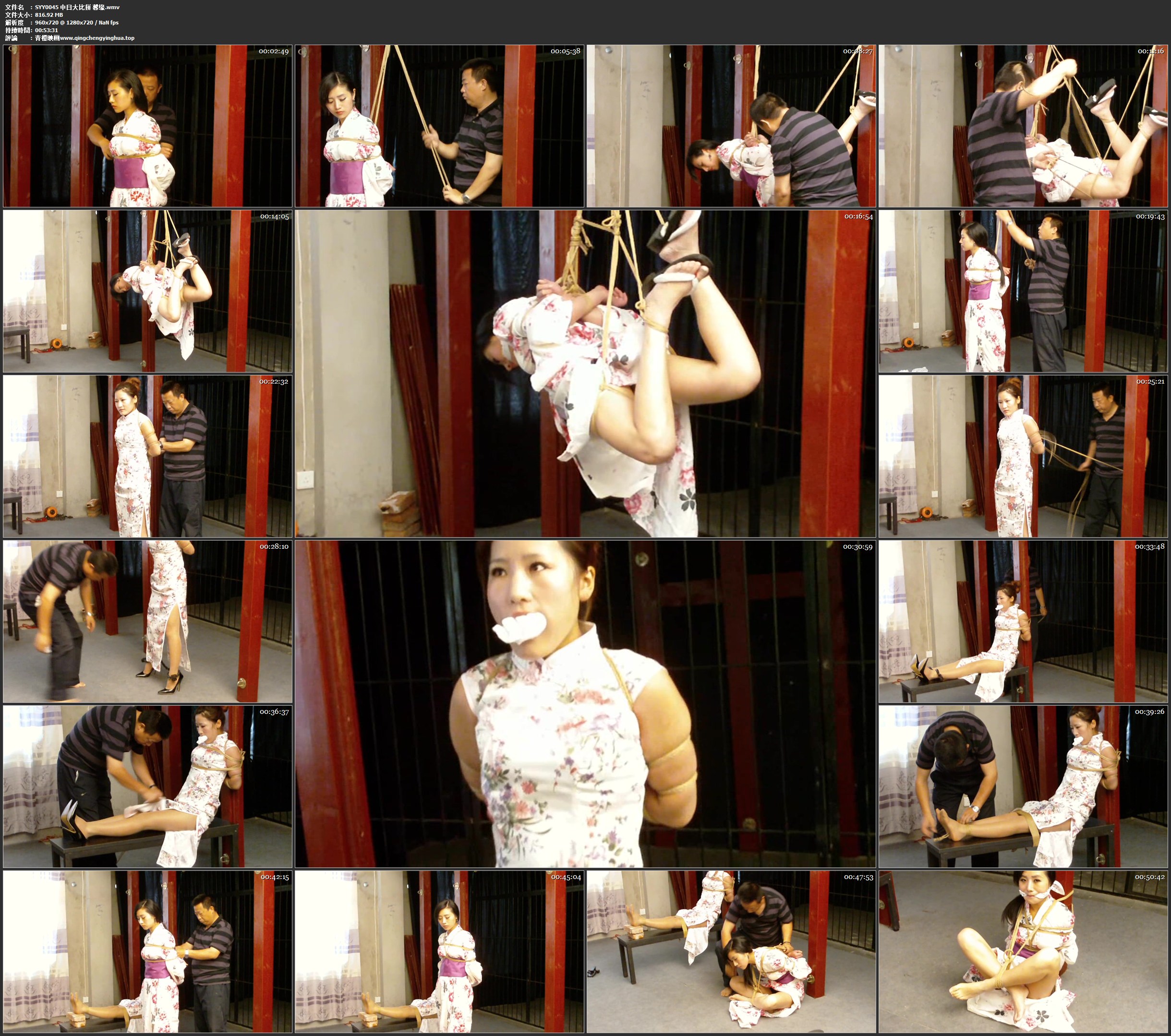 神艺缘 中日大比拼 馨缘