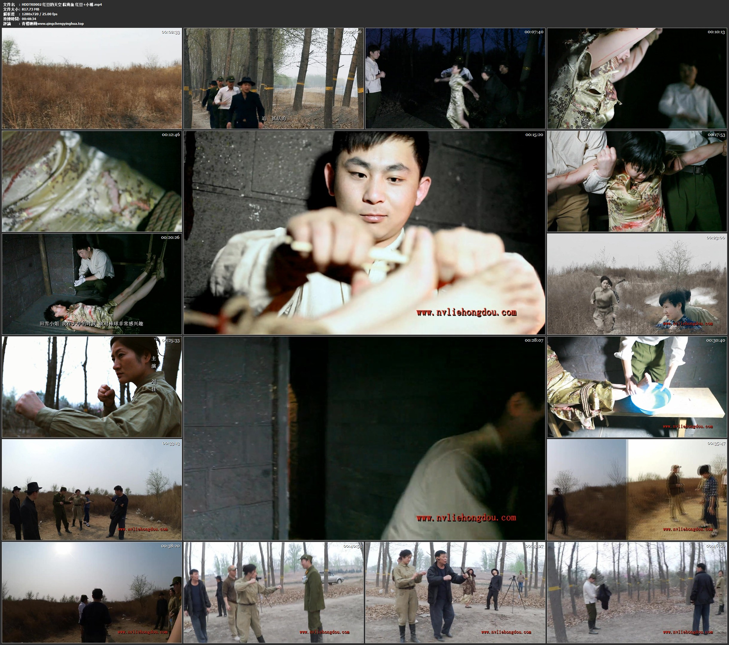 红豆的天空 皖南血 红豆 小雅