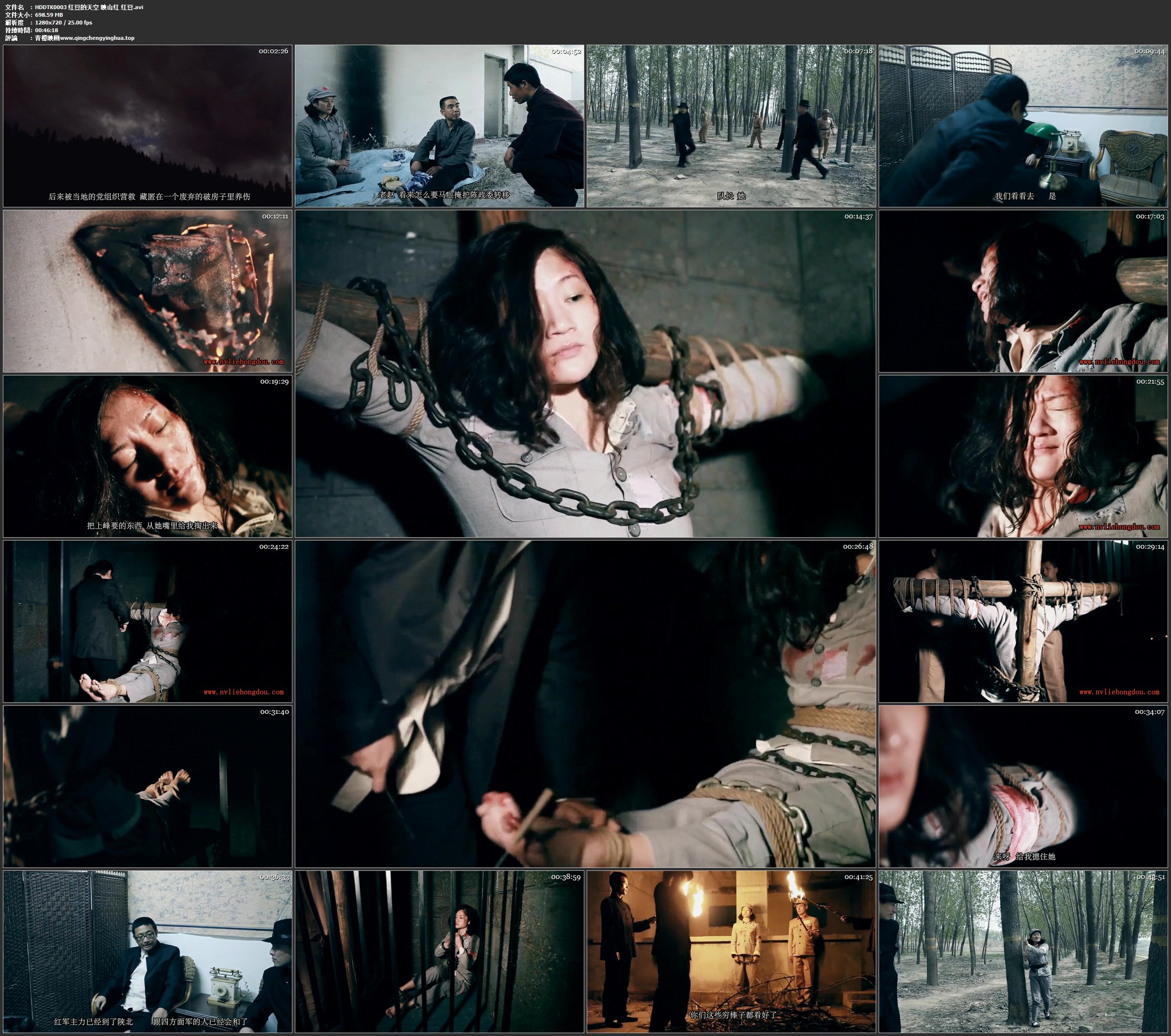 红豆的天空 映山红 红豆