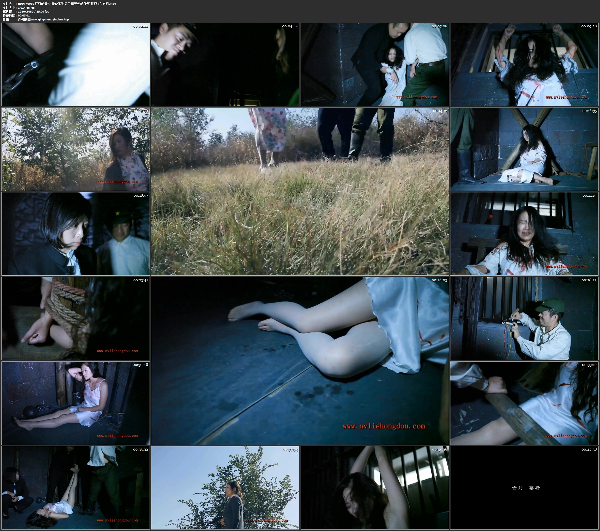 红豆的天空 天使系列第三部 天使的微笑 红豆 东方月