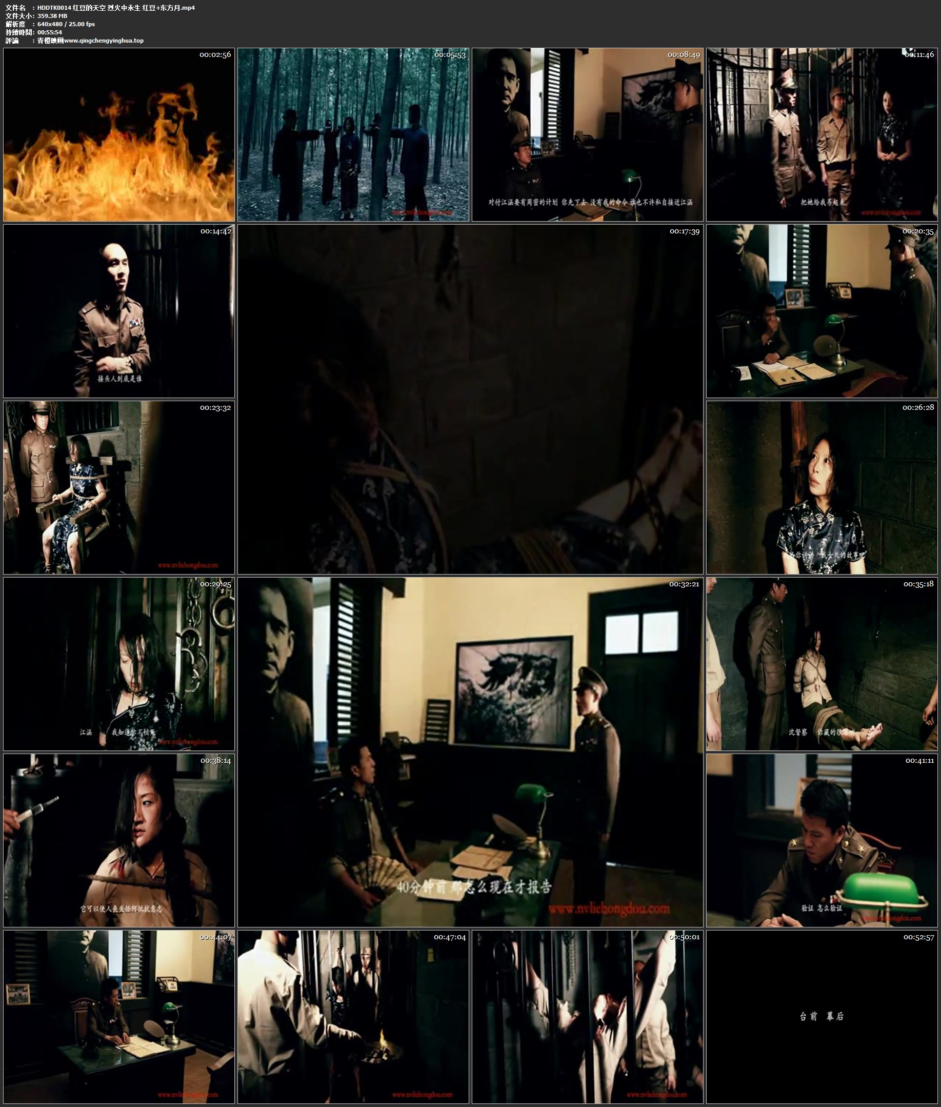 红豆的天空 烈火中永生 红豆 东方月