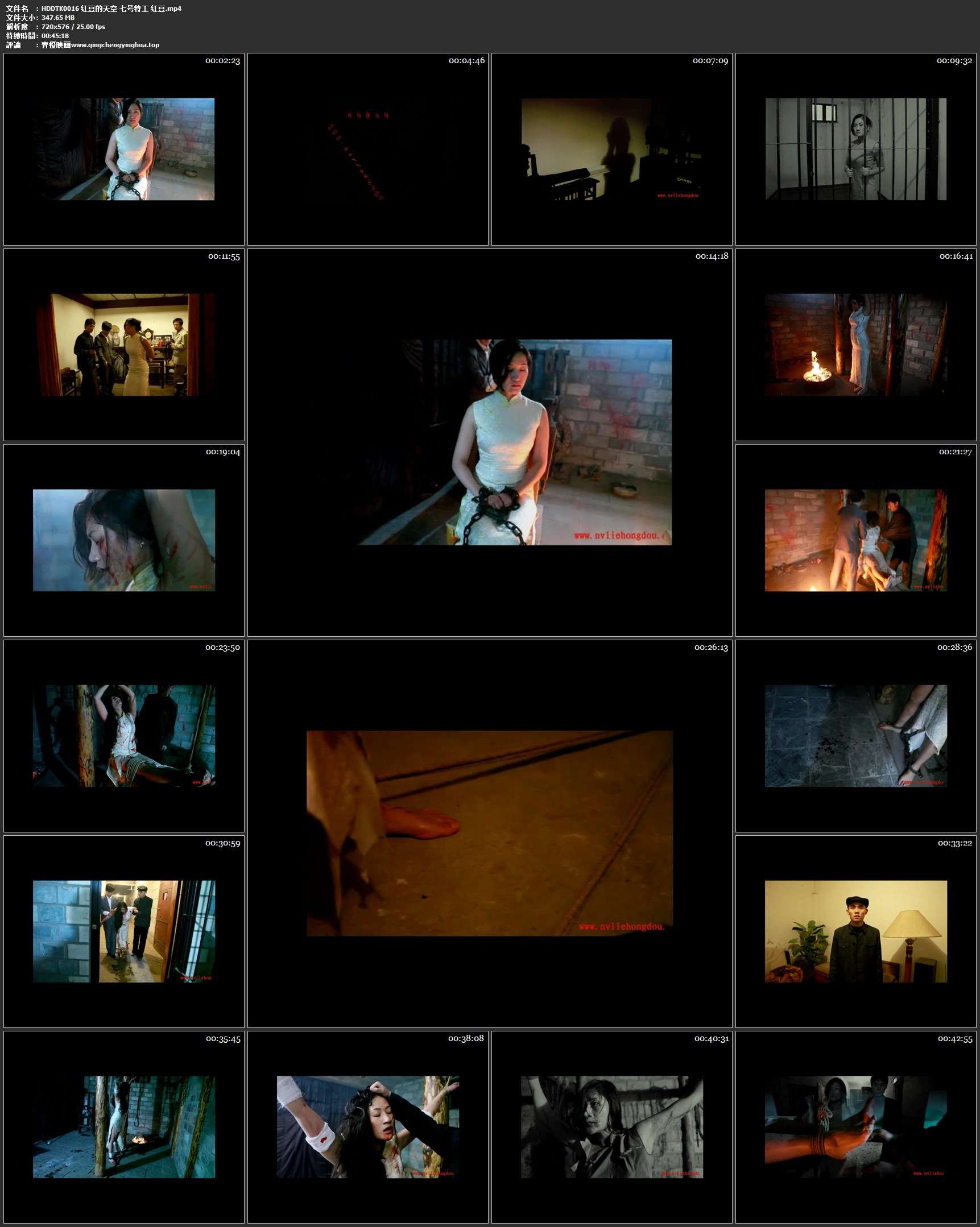 红豆的天空 七号特工 红豆