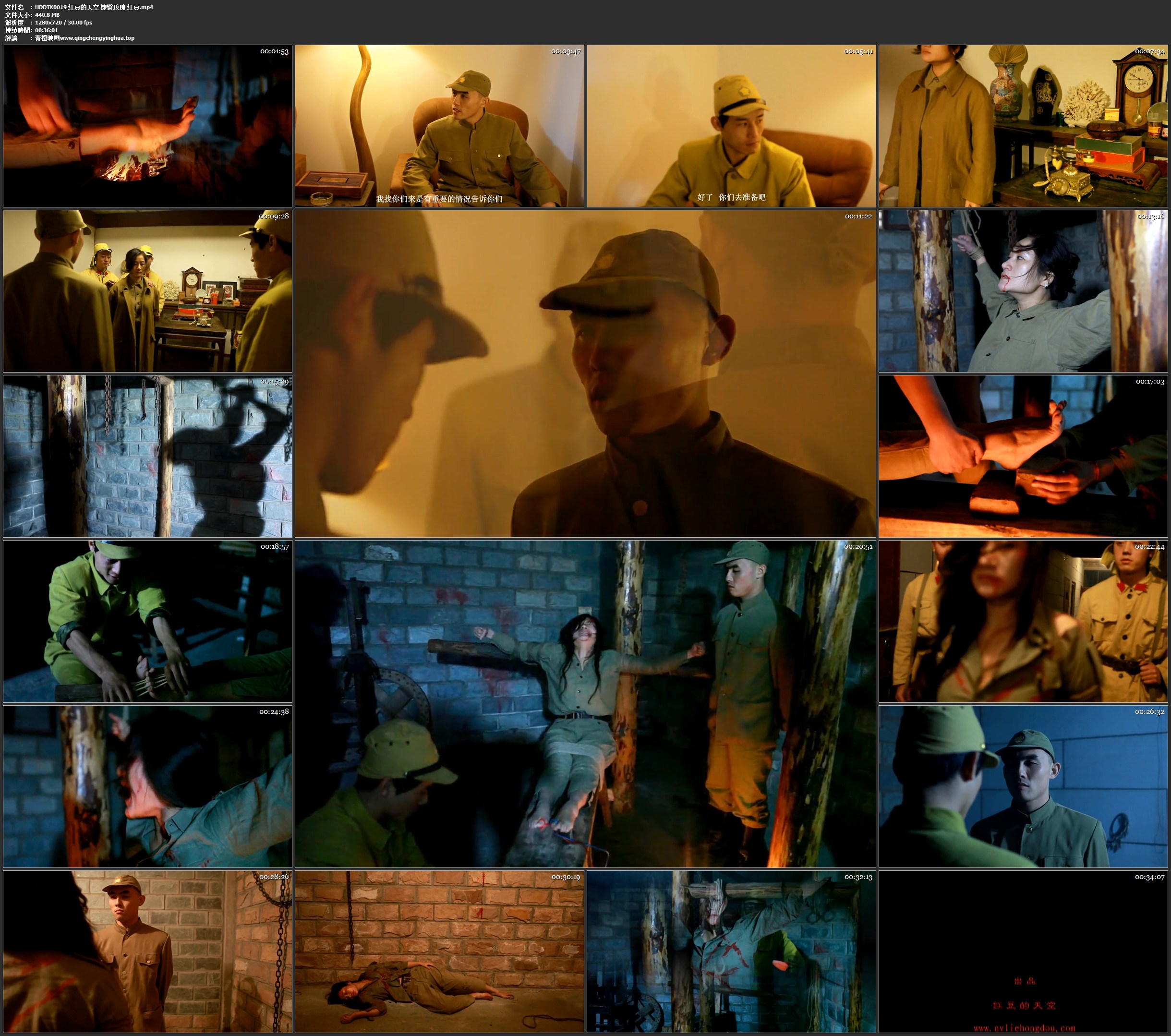 红豆的天空 铿锵玫瑰 红豆