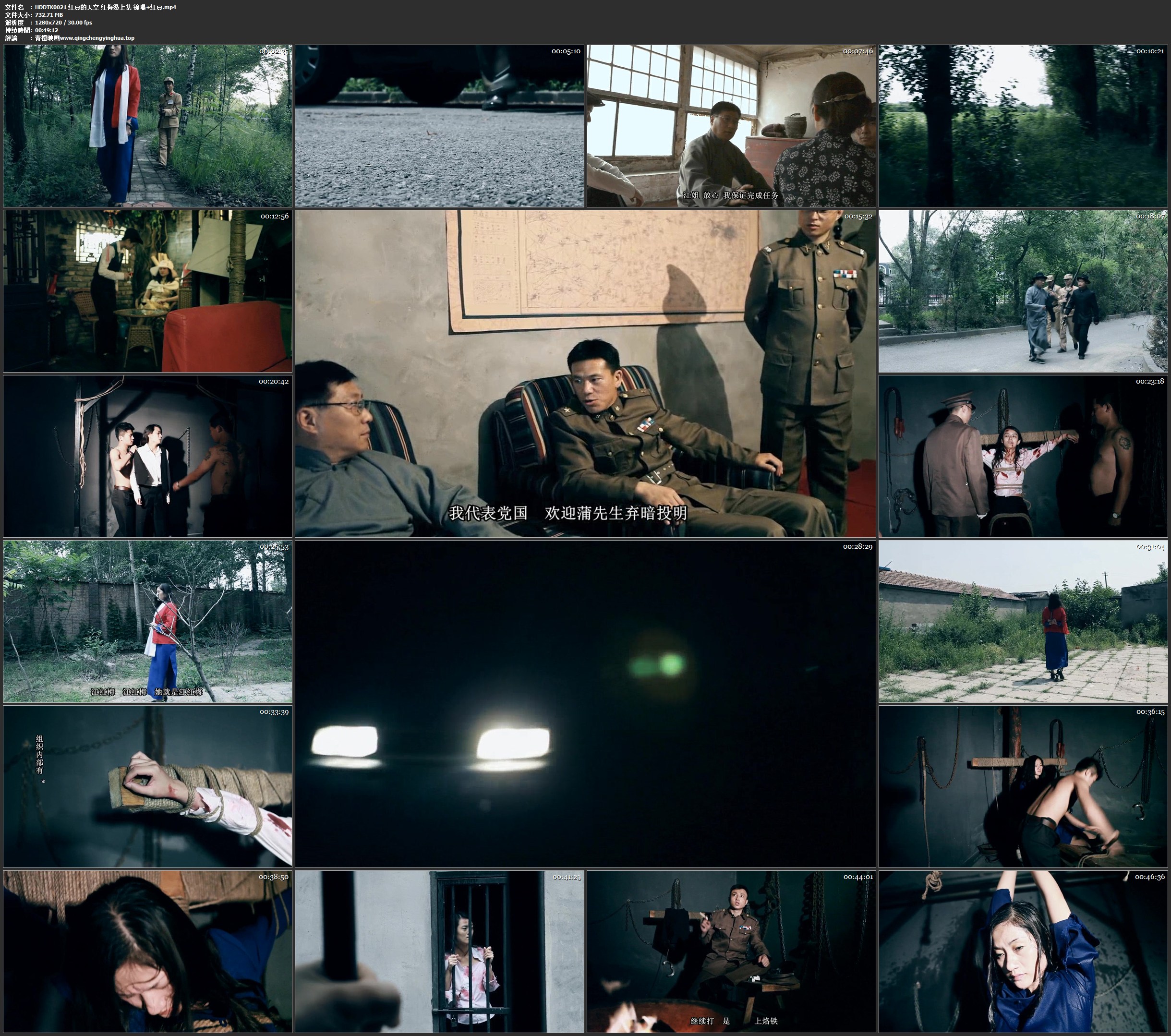 红豆的天空 红梅赞上集 徐瑒 红豆