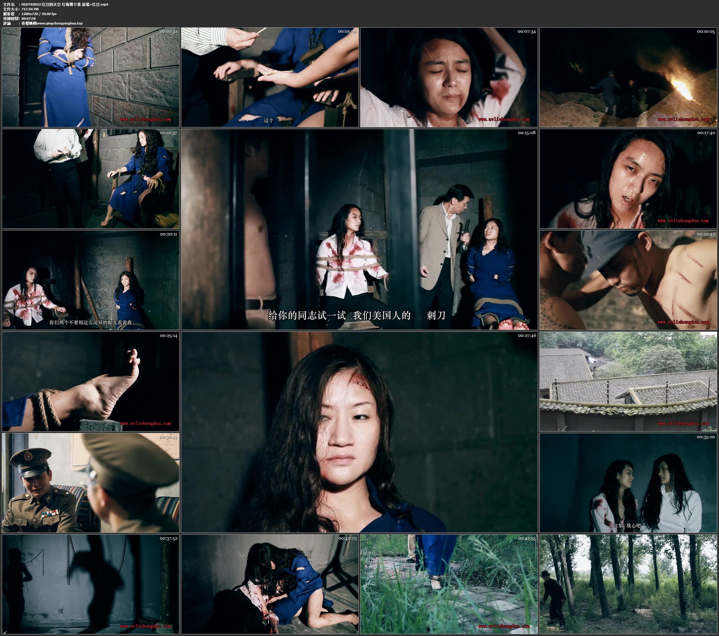 红豆的天空 红梅赞下集 徐瑒 红豆