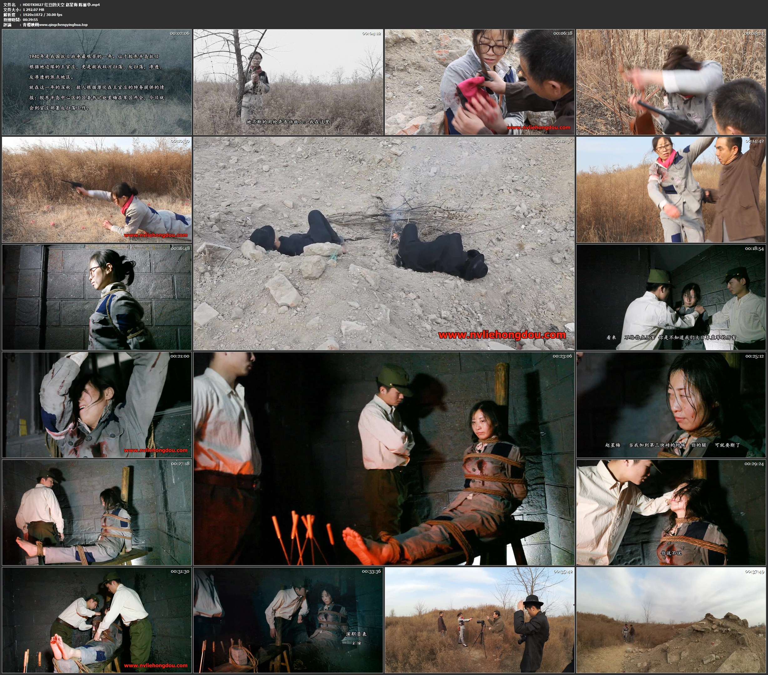 红豆的天空 赵星梅 陈丽华