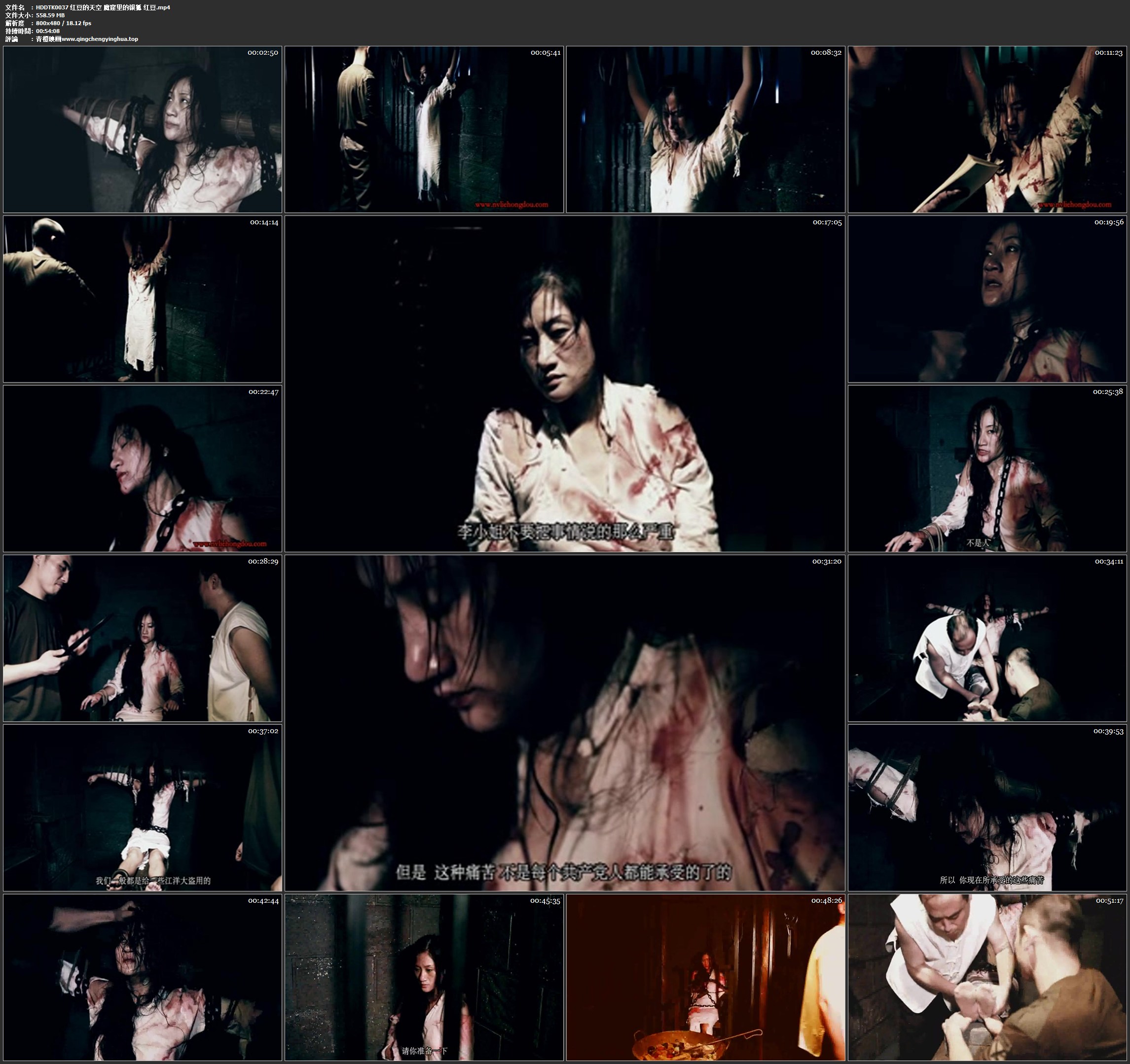 红豆的天空 魔窟里的银狐 红豆