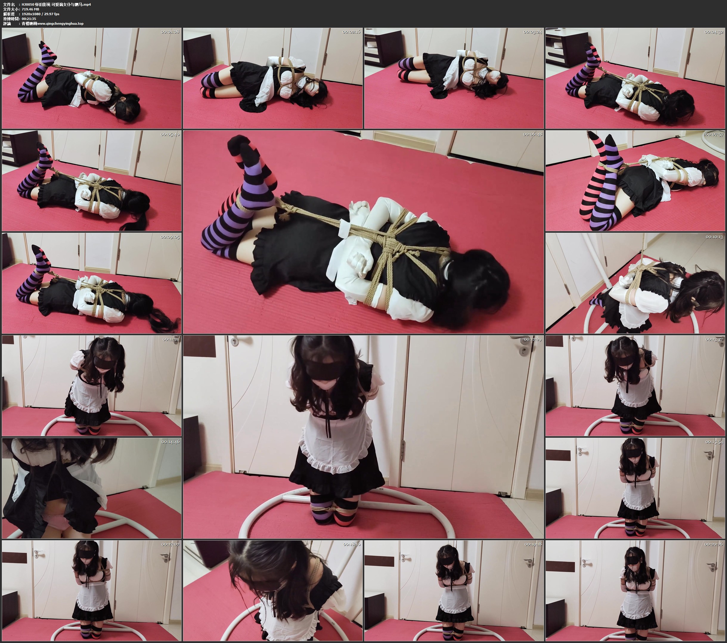 手指间的旋律 可爱滴女仆与驷马