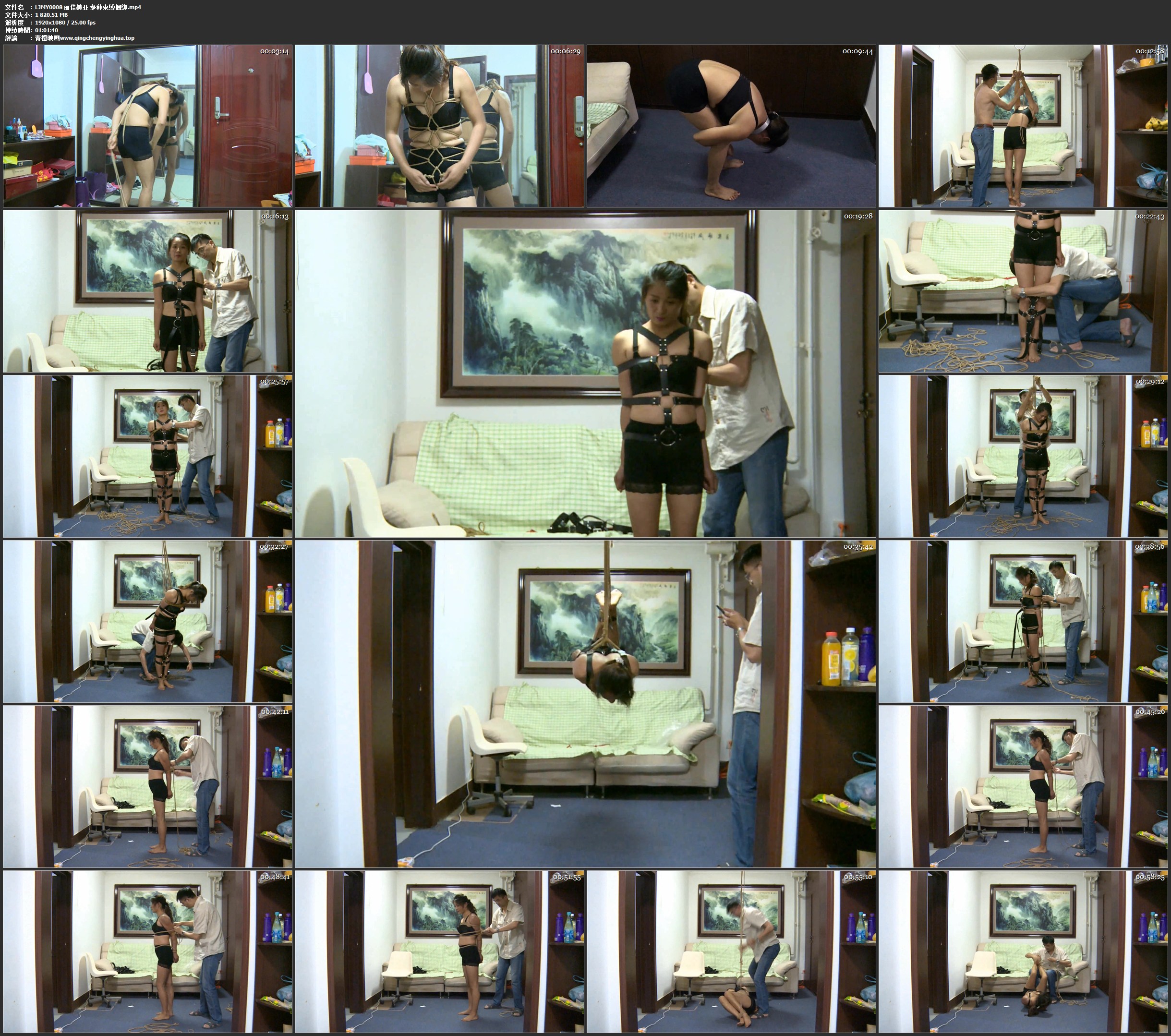 丽佳美亚 多种束缚捆绑