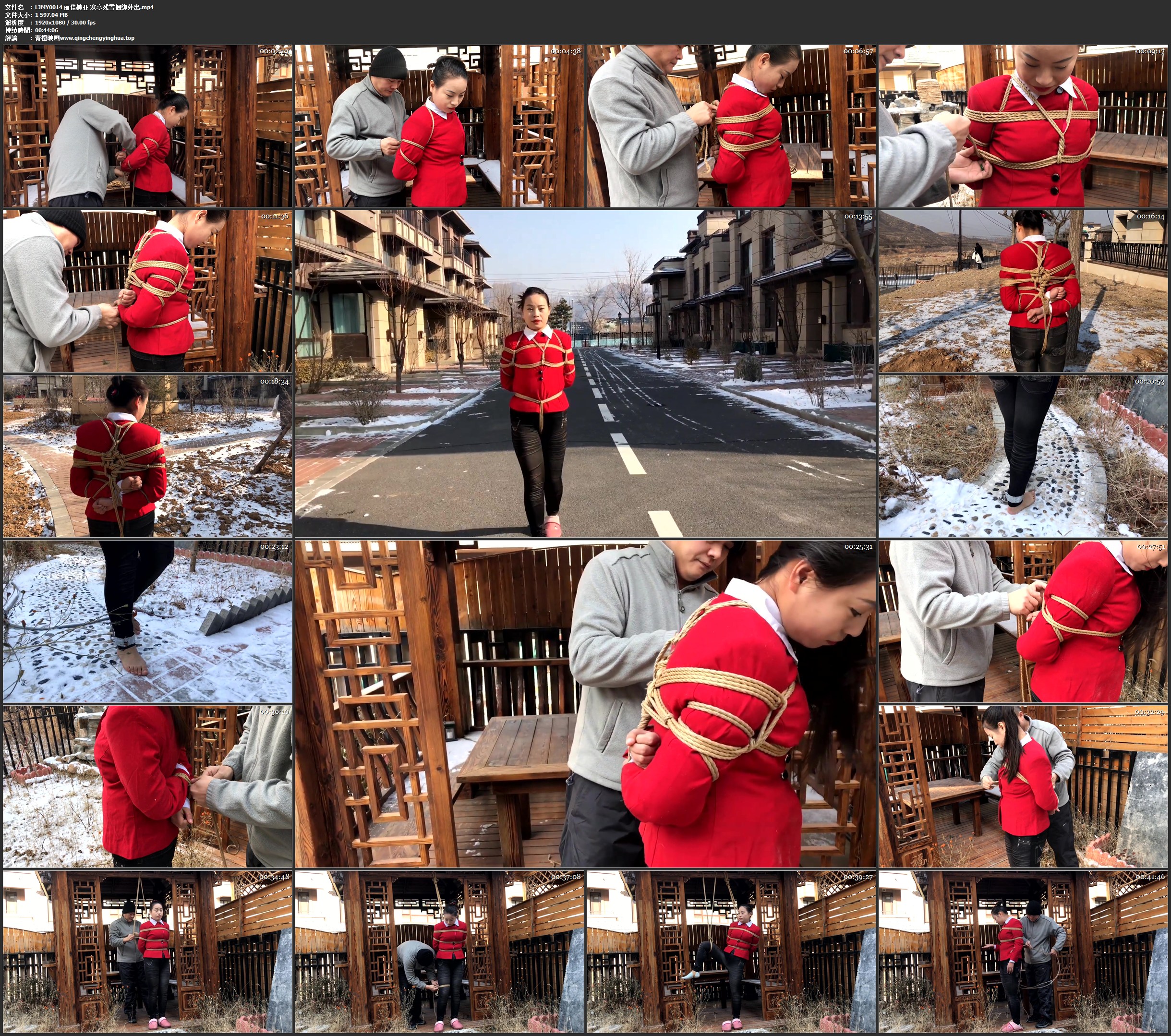 丽佳美亚 寒亭残雪捆绑外出