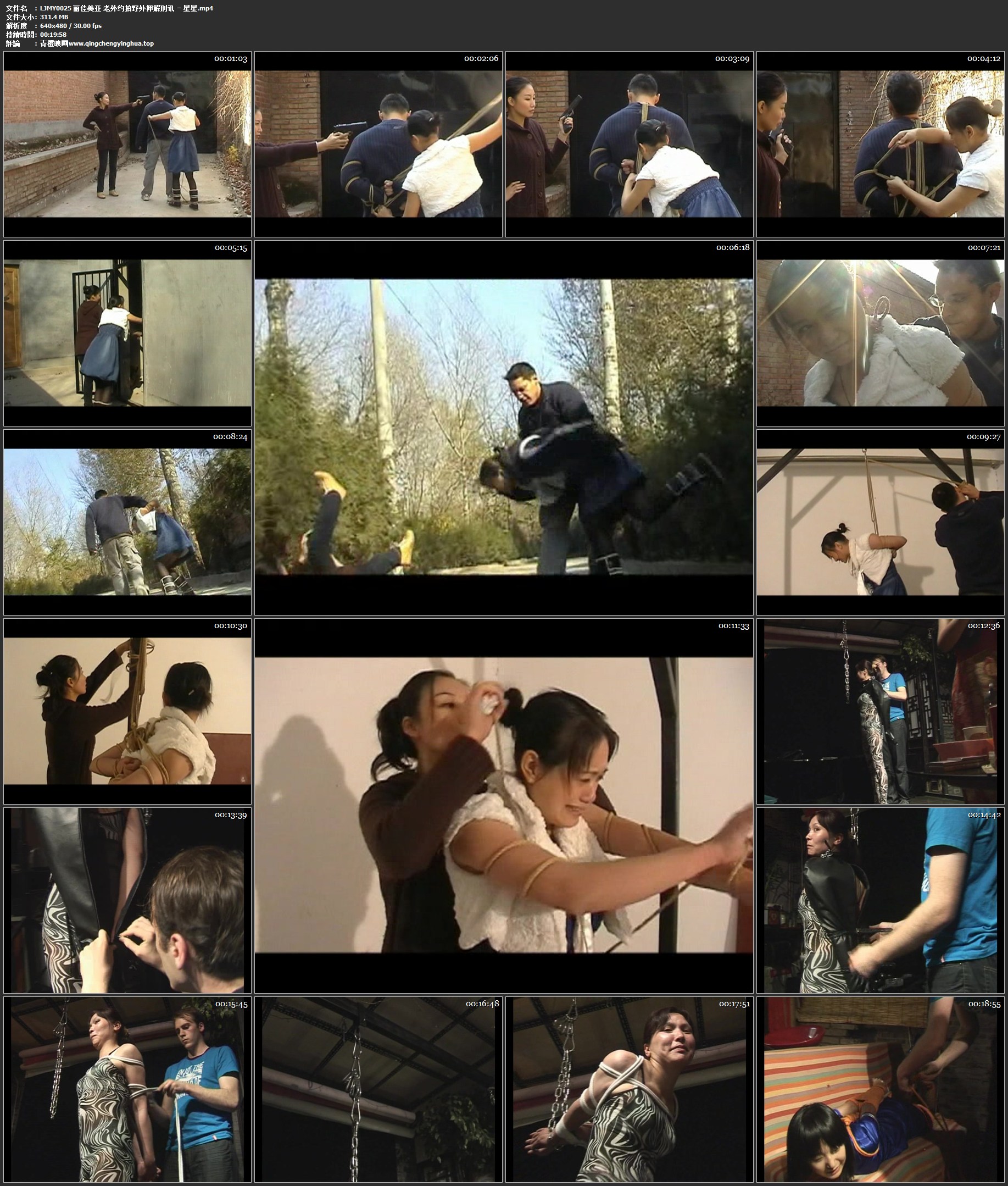 丽佳美亚 老外约拍野外押解刑讯 星星