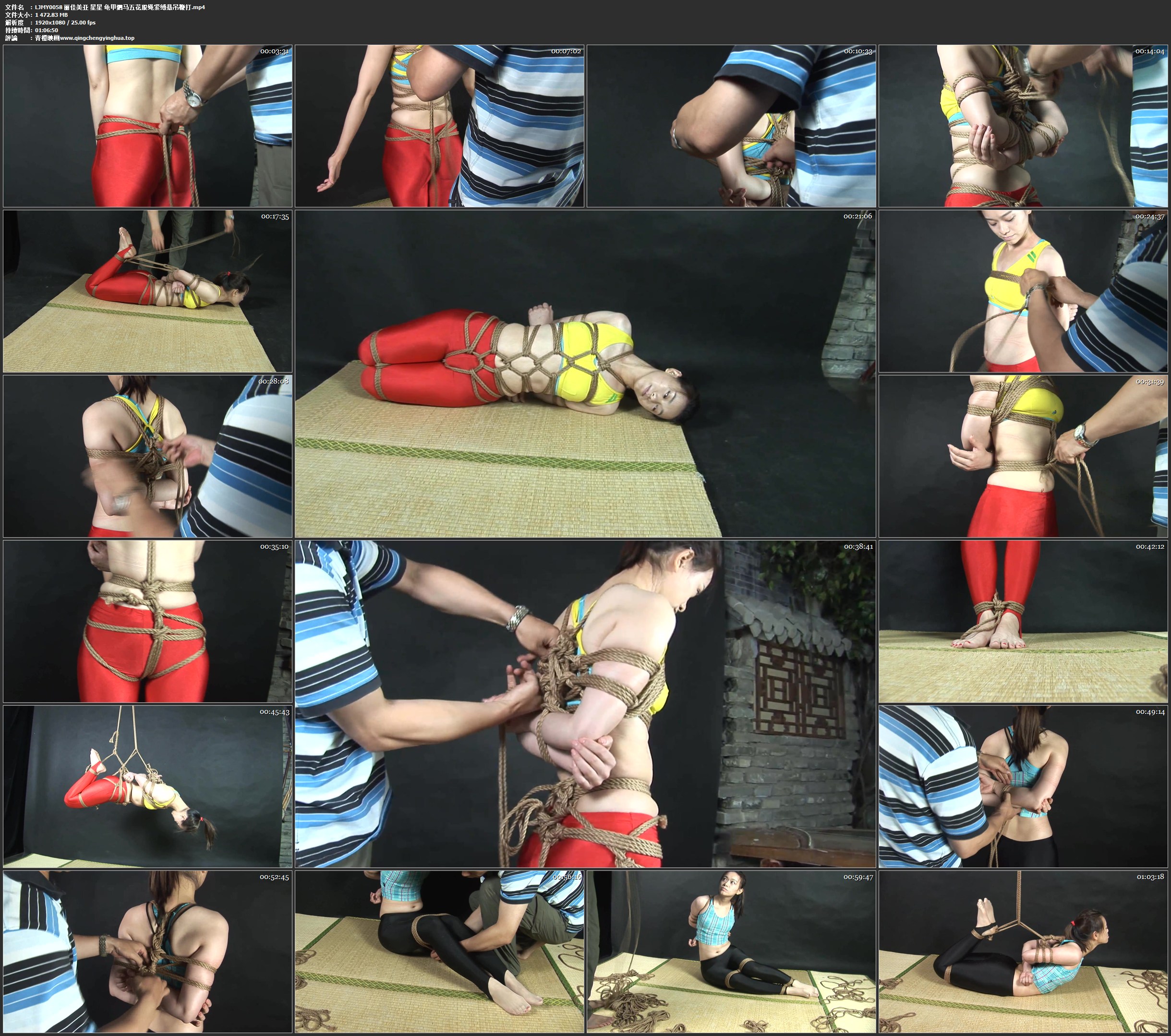 丽佳美亚 星星 龟甲驷马五花股绳紧缚悬吊鞭打