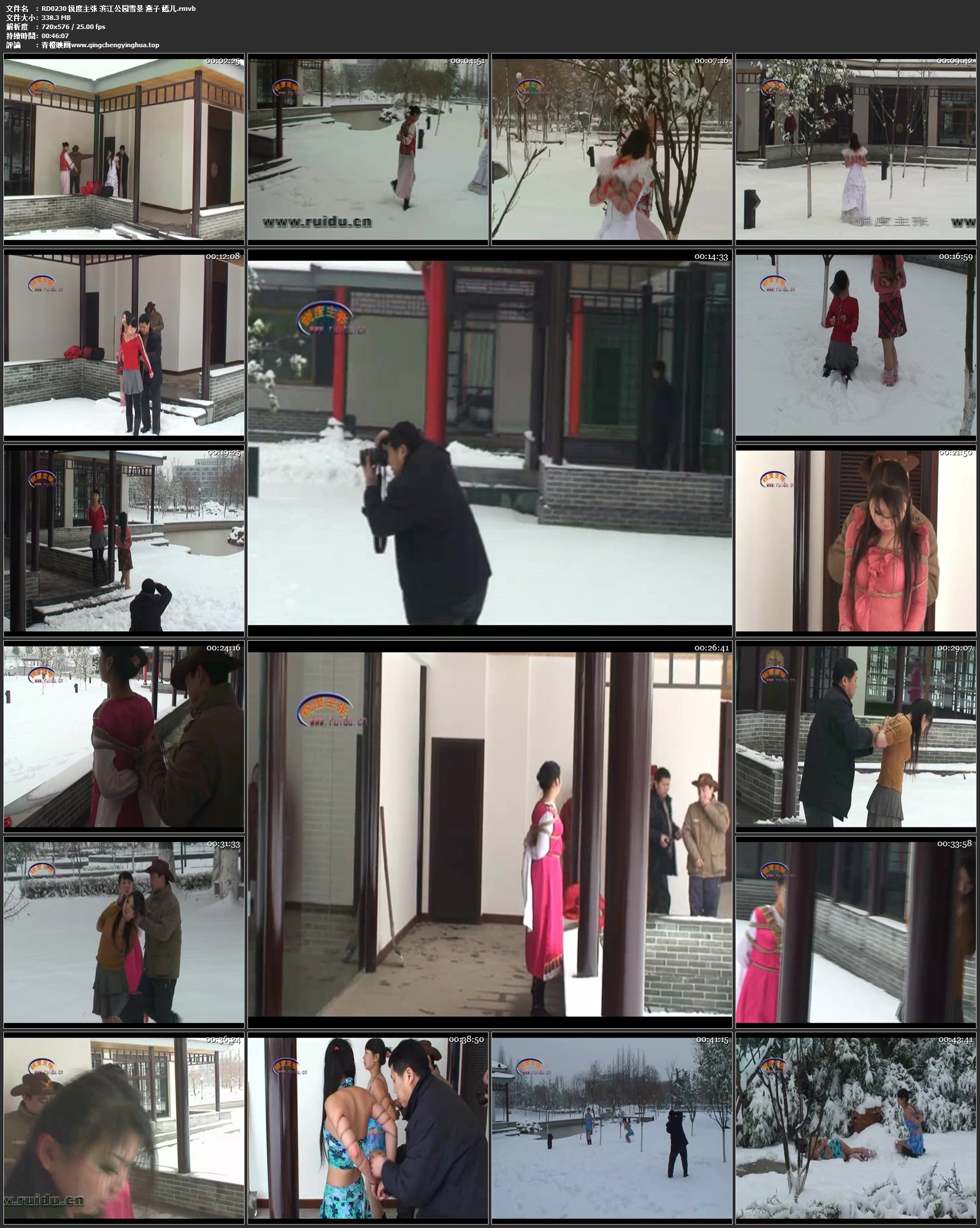 锐度主张 滨江公园雪景 燕子 嫣儿