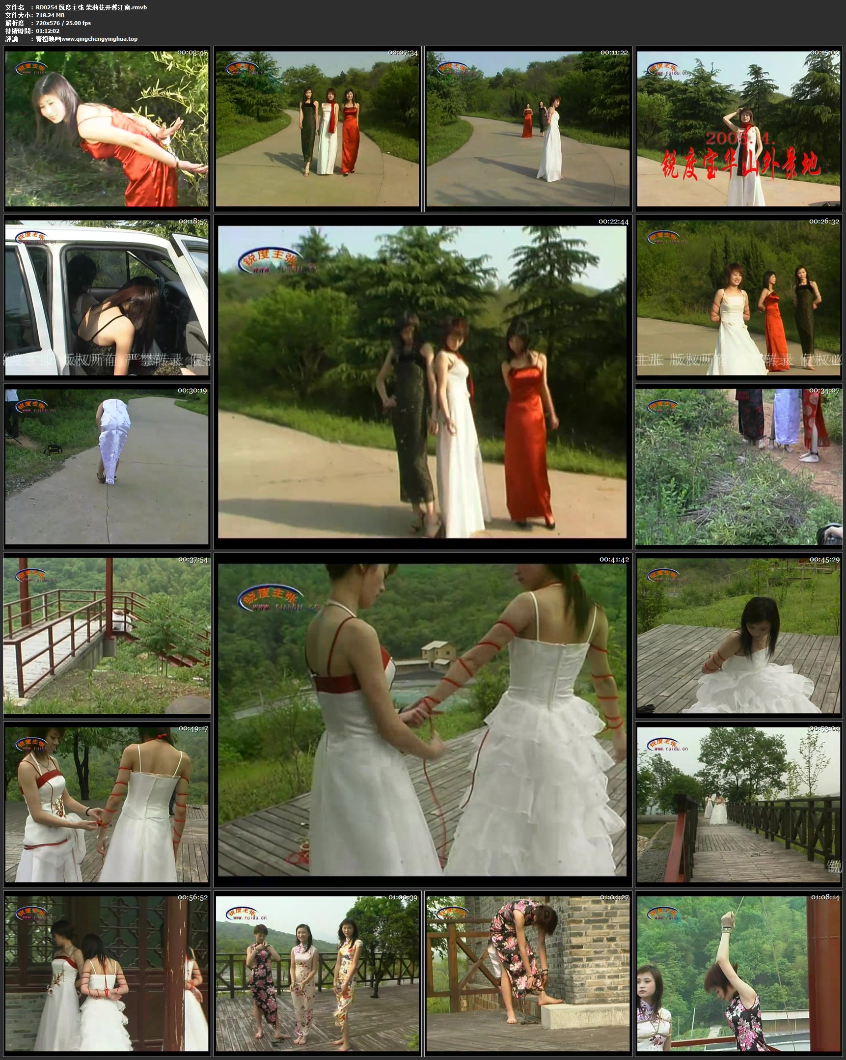 锐度主张 茉莉花开馨江南