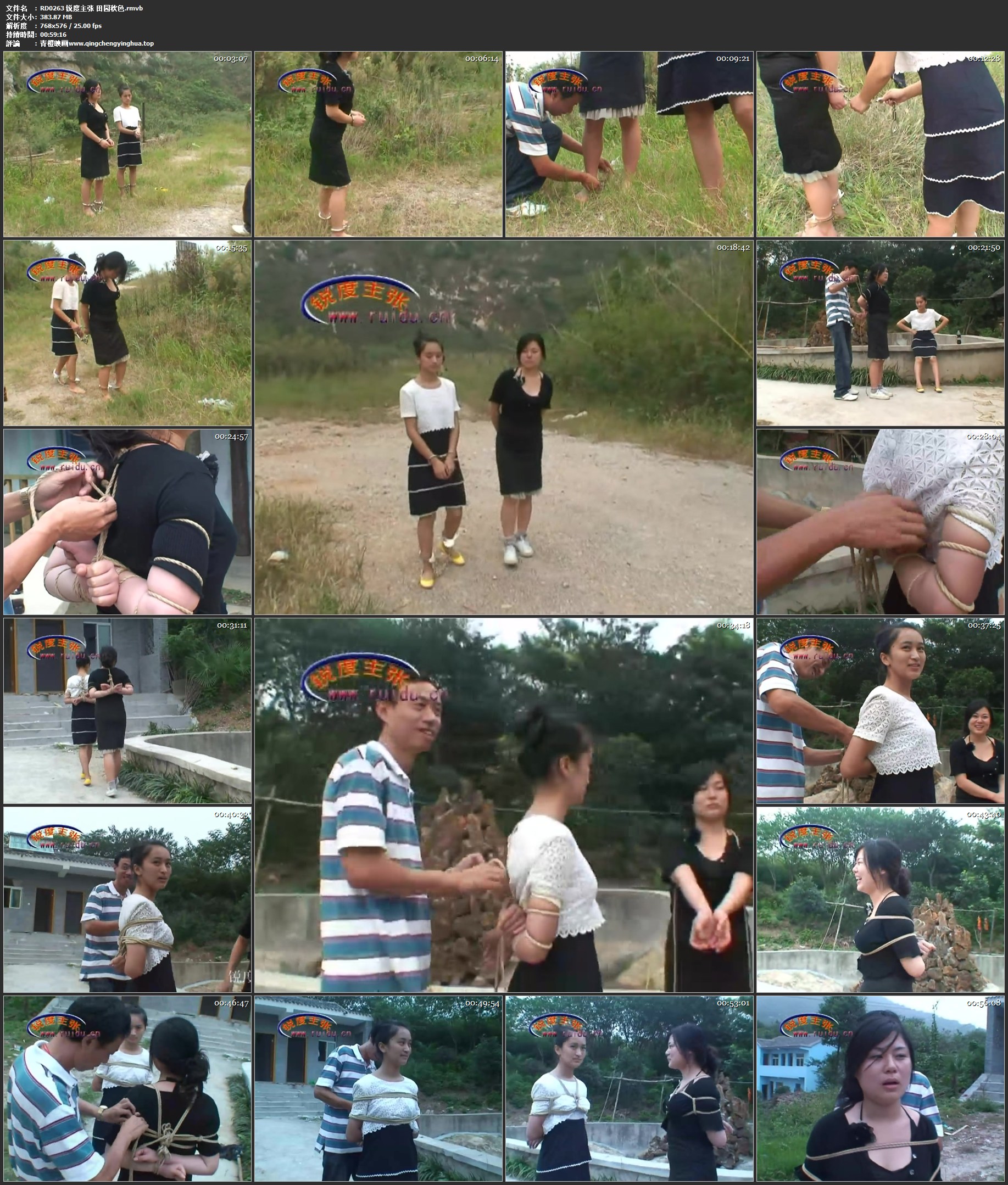 锐度主张 田园秋色