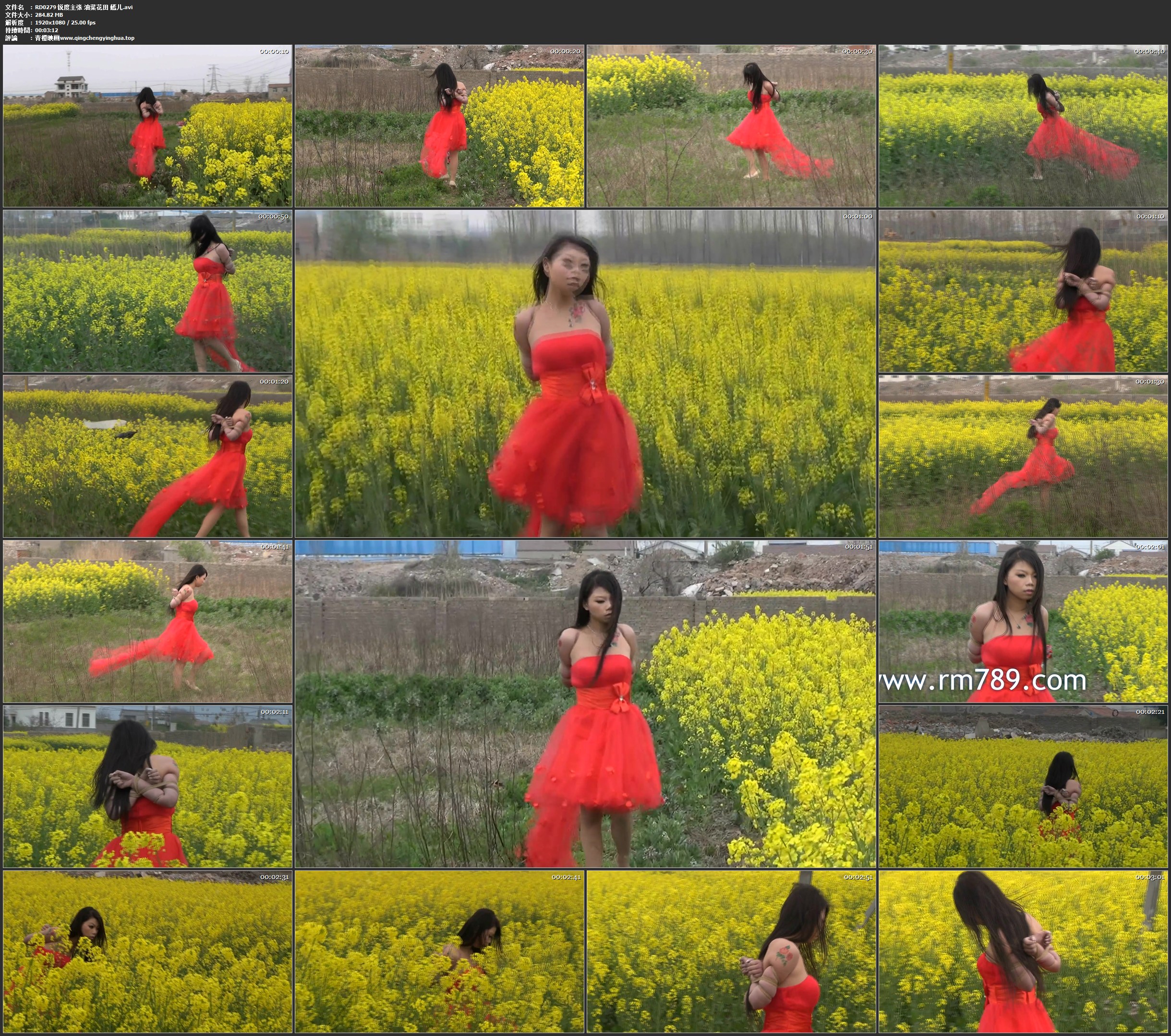 锐度主张 油菜花田 嫣儿