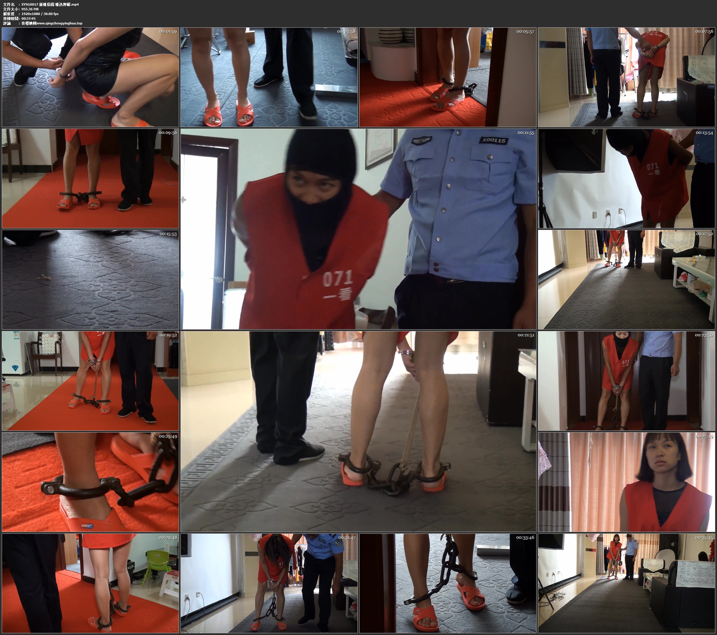 新雅俗阁 雅迅押解