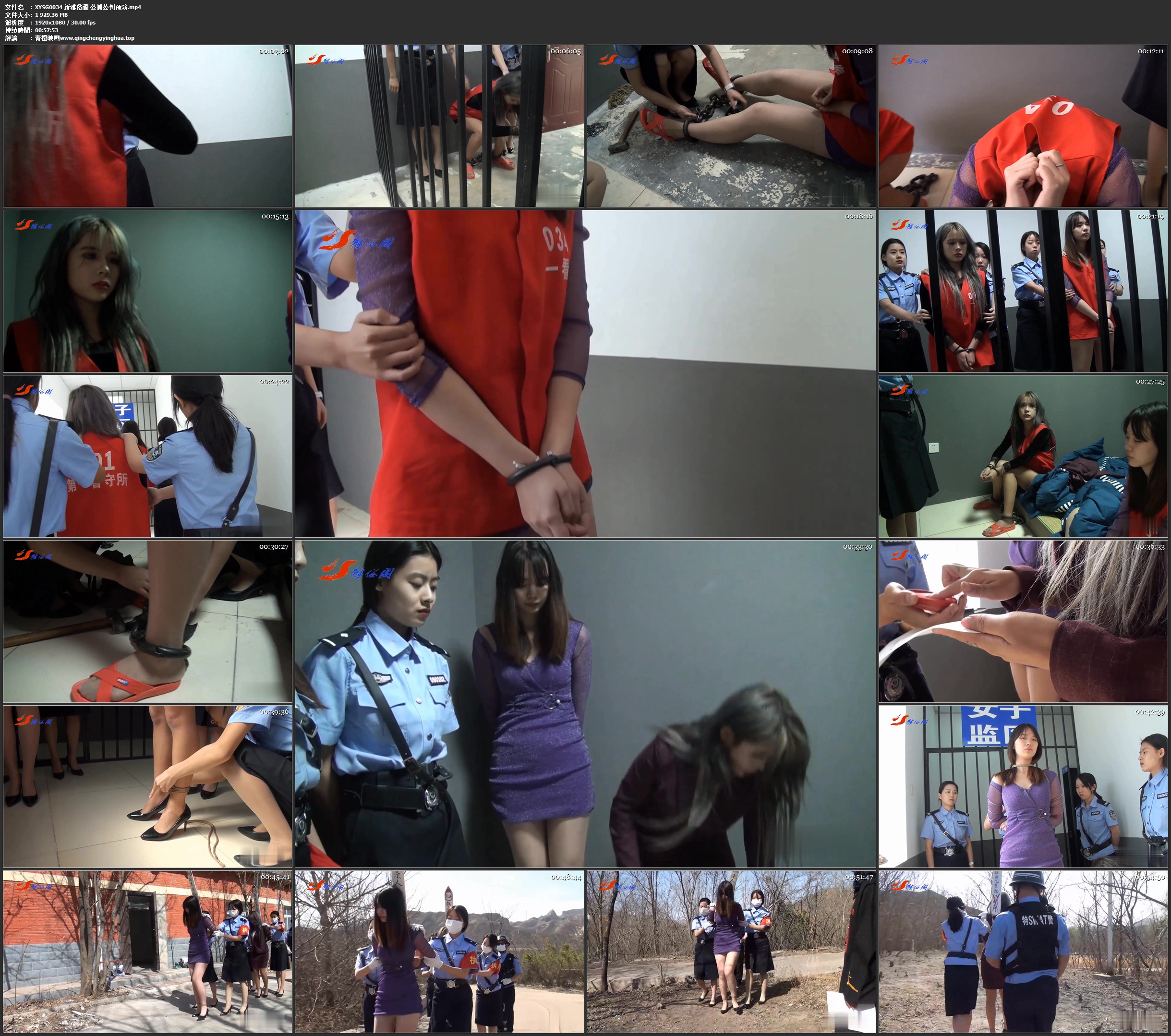 新雅俗阁 公捕公判预演