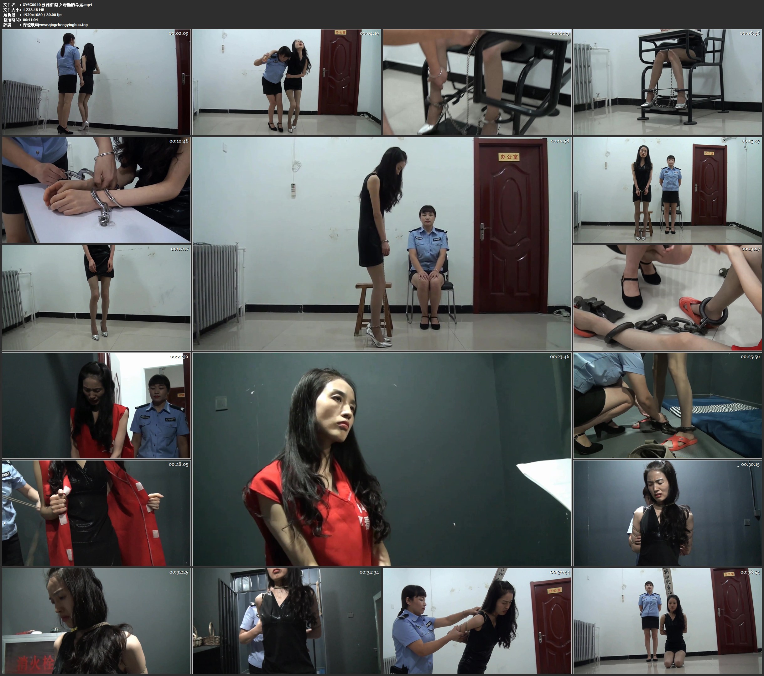 新雅俗阁 女毒贩的命运