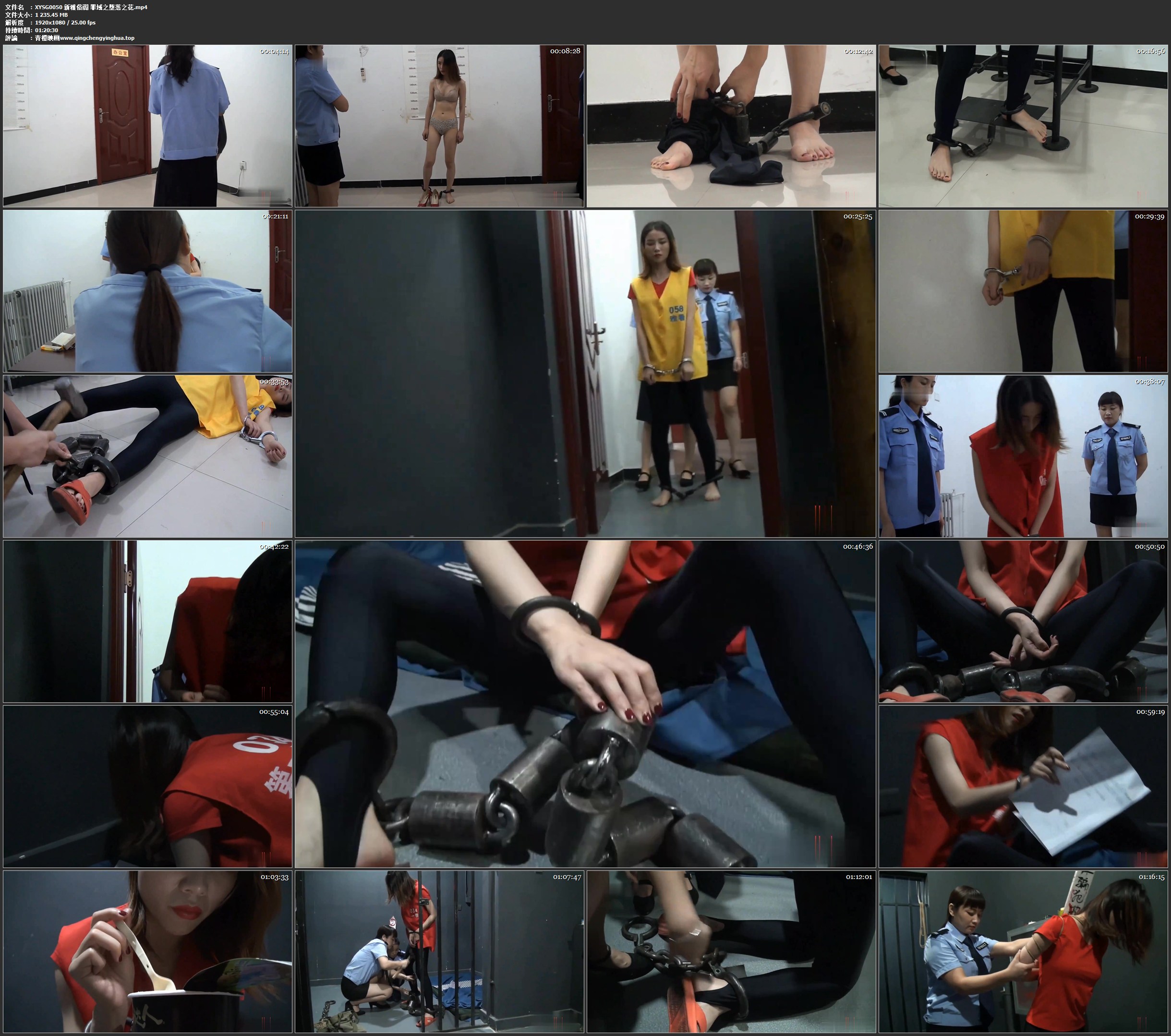 新雅俗阁 罪域之堕落之花