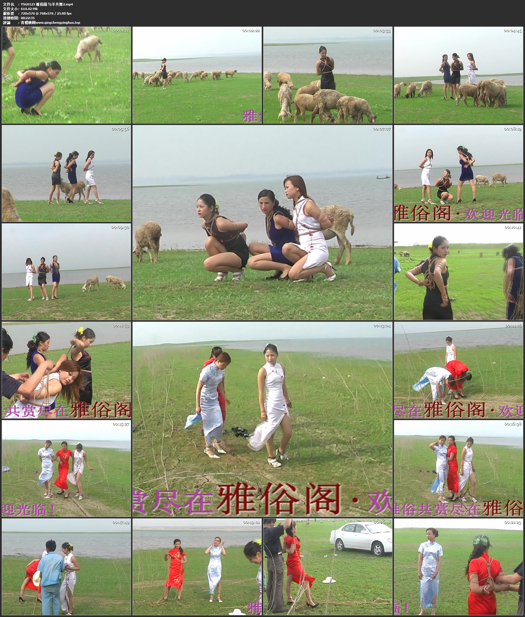 雅俗阁 与羊共舞2
