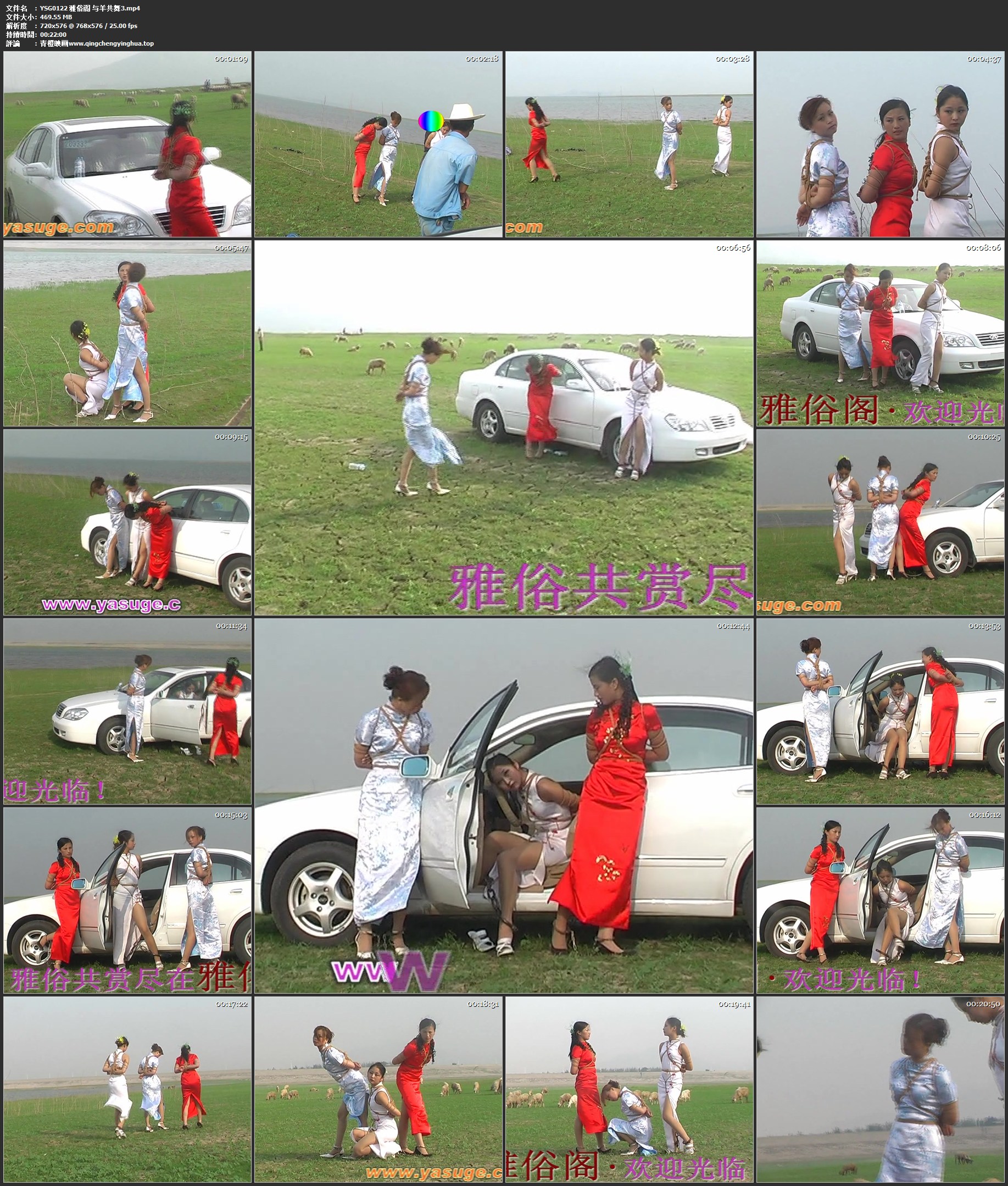 雅俗阁 与羊共舞3