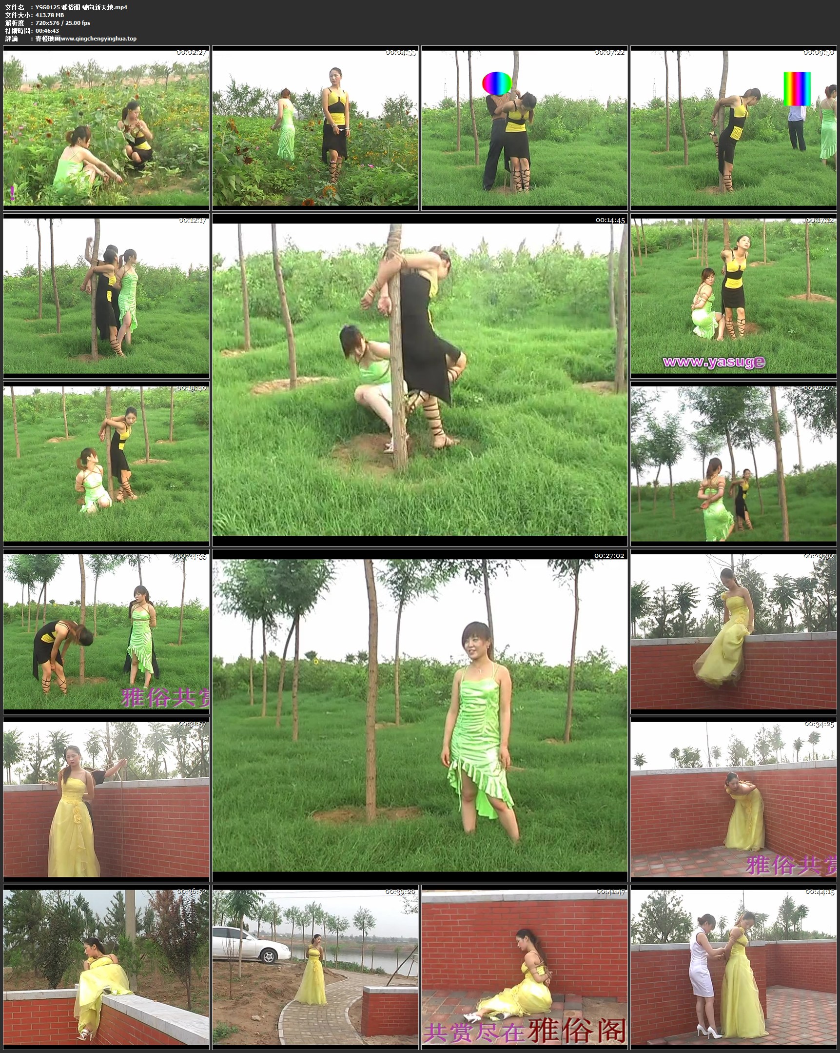 雅俗阁 驶向新天地