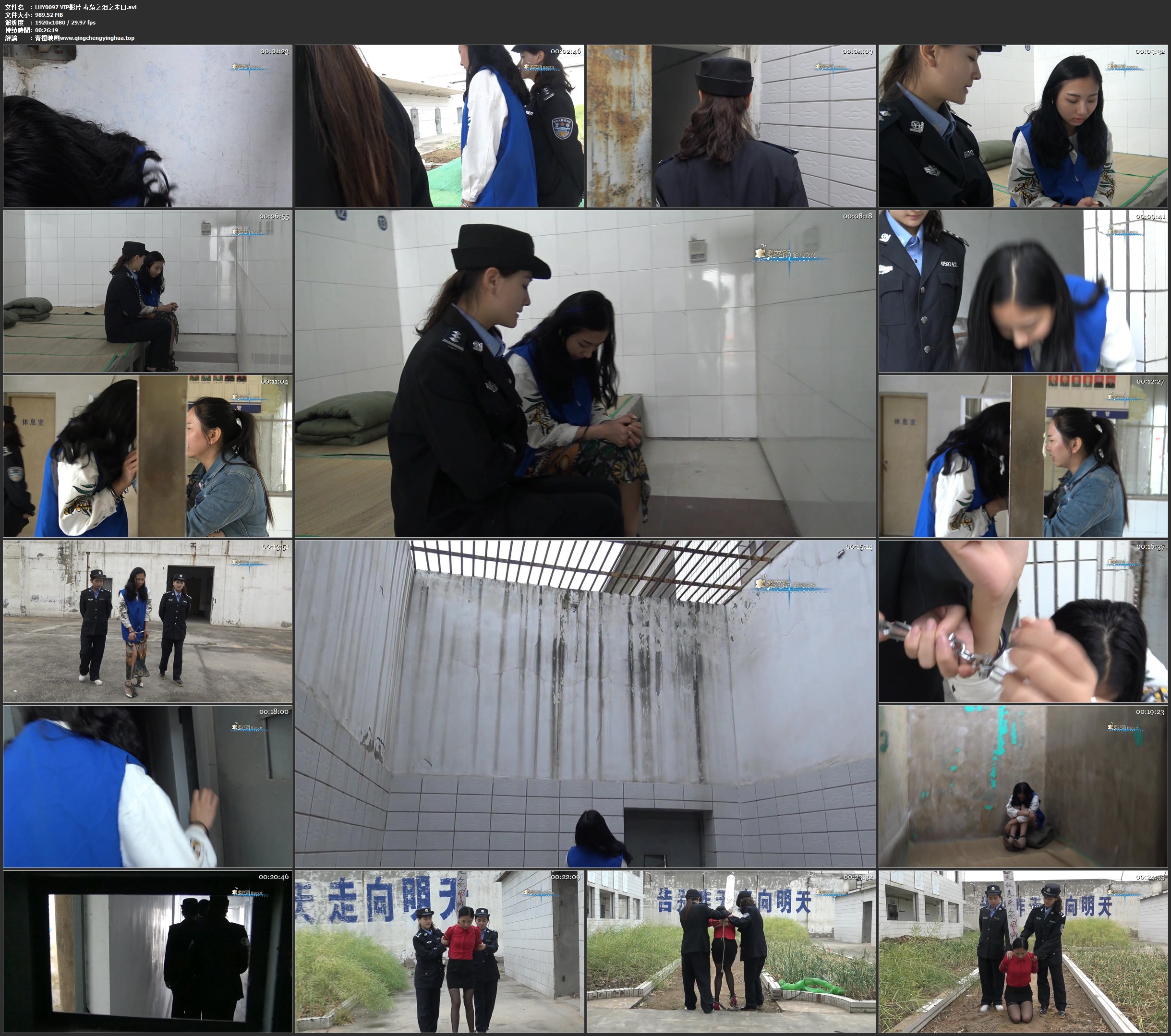 梨花雨_VIP影片 毒枭之泪之未日