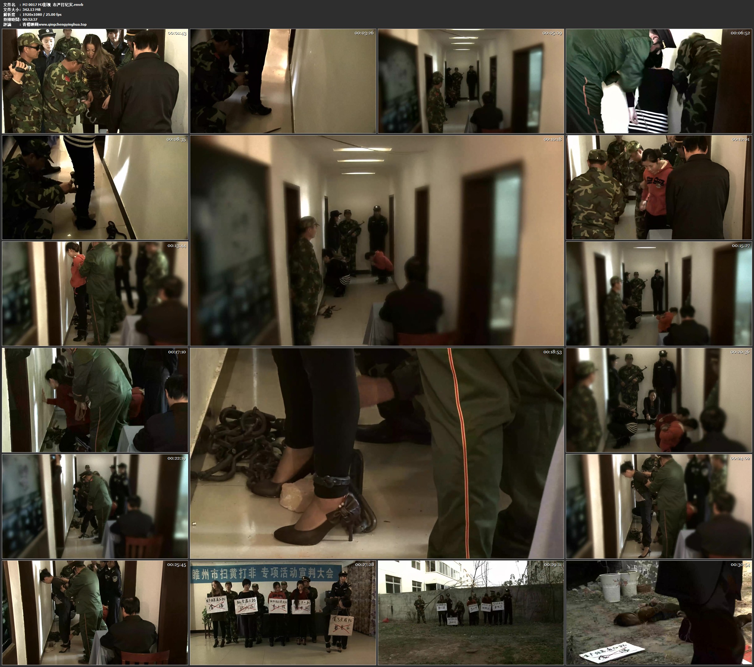 MJ影视 xx市严打纪实