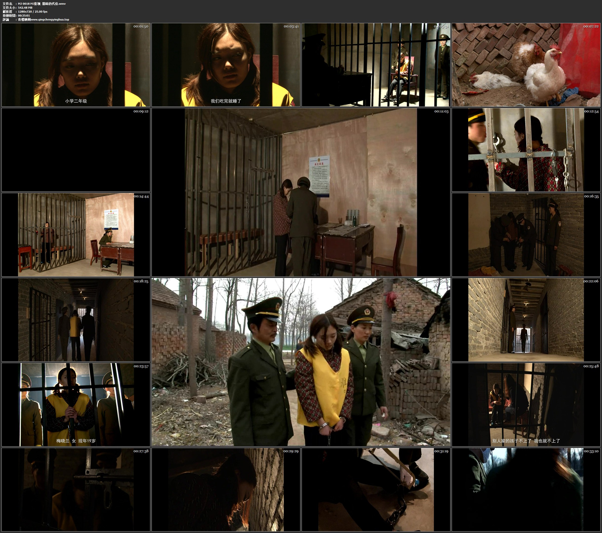 MJ影视 愚昧的代价