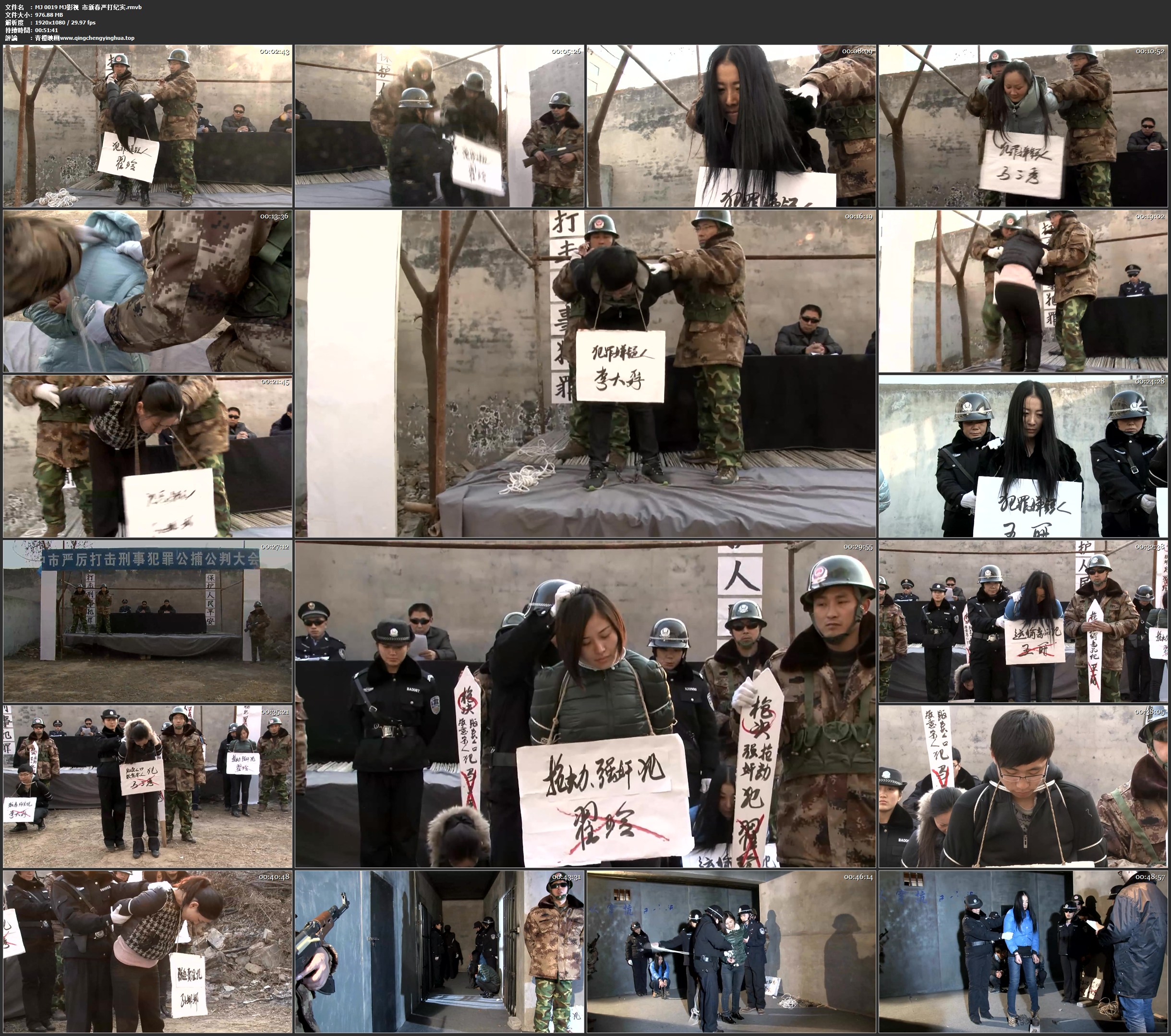 MJ影视 xx市新春严打纪实
