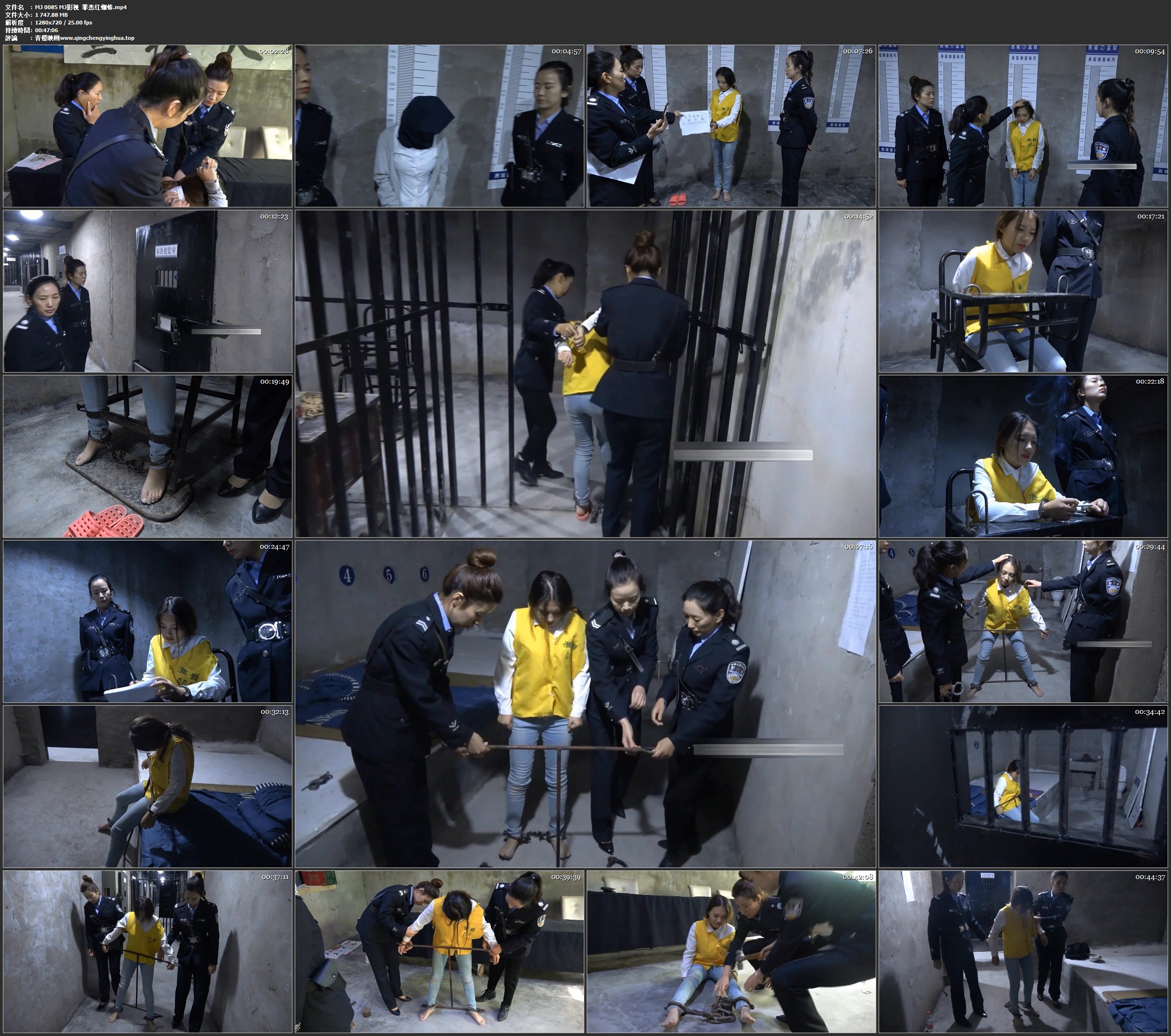 MJ影视 罪恶红蜘蛛