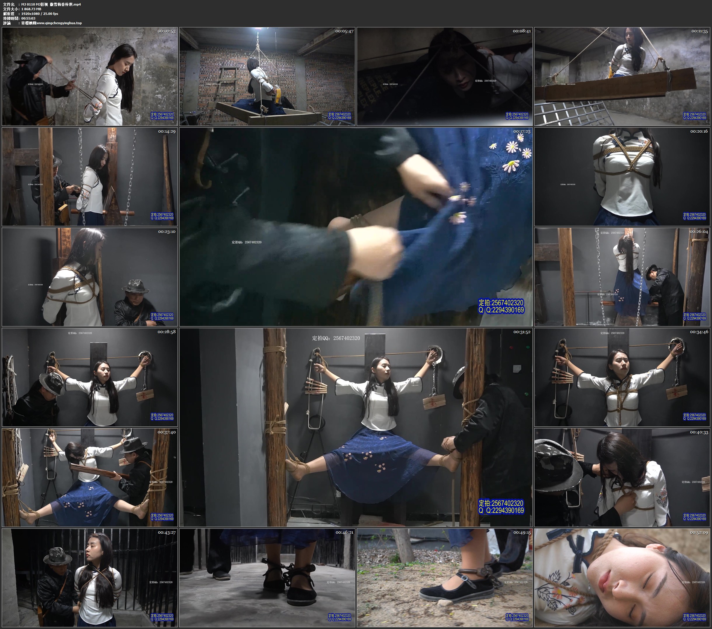 MJ影视 傲雪梅香 梓琪