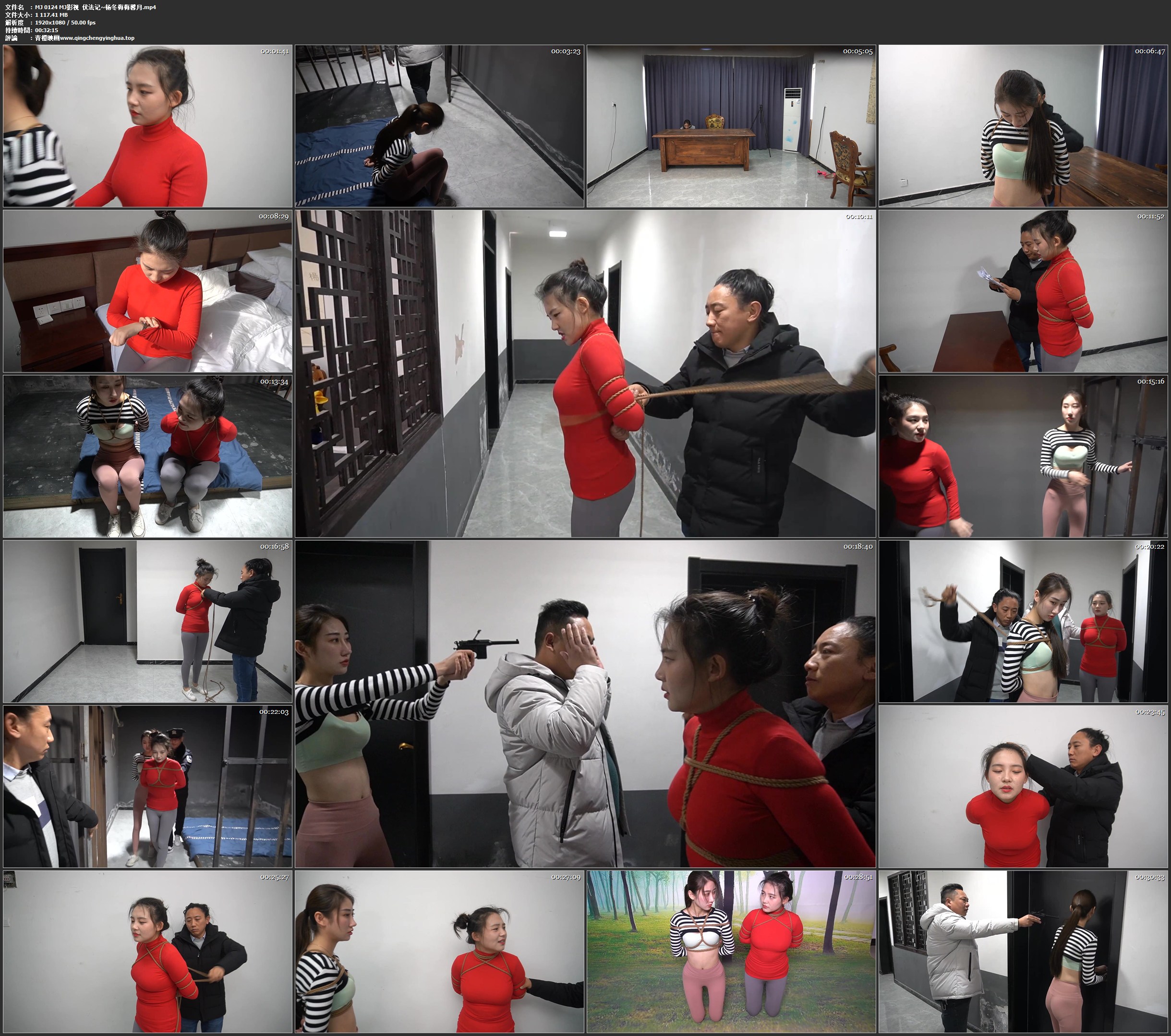 MJ影视 伏法记 杨冬梅 梅馨月