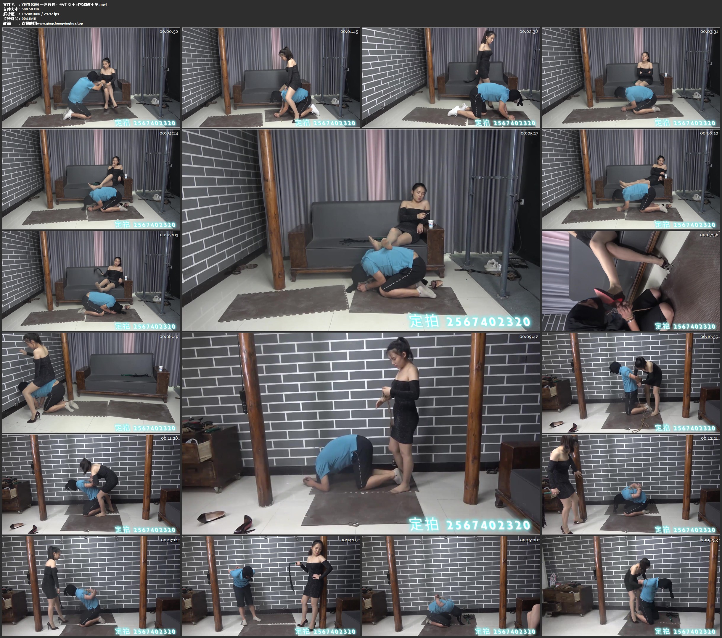 一绳有你 小奶牛女王日常调教小狗