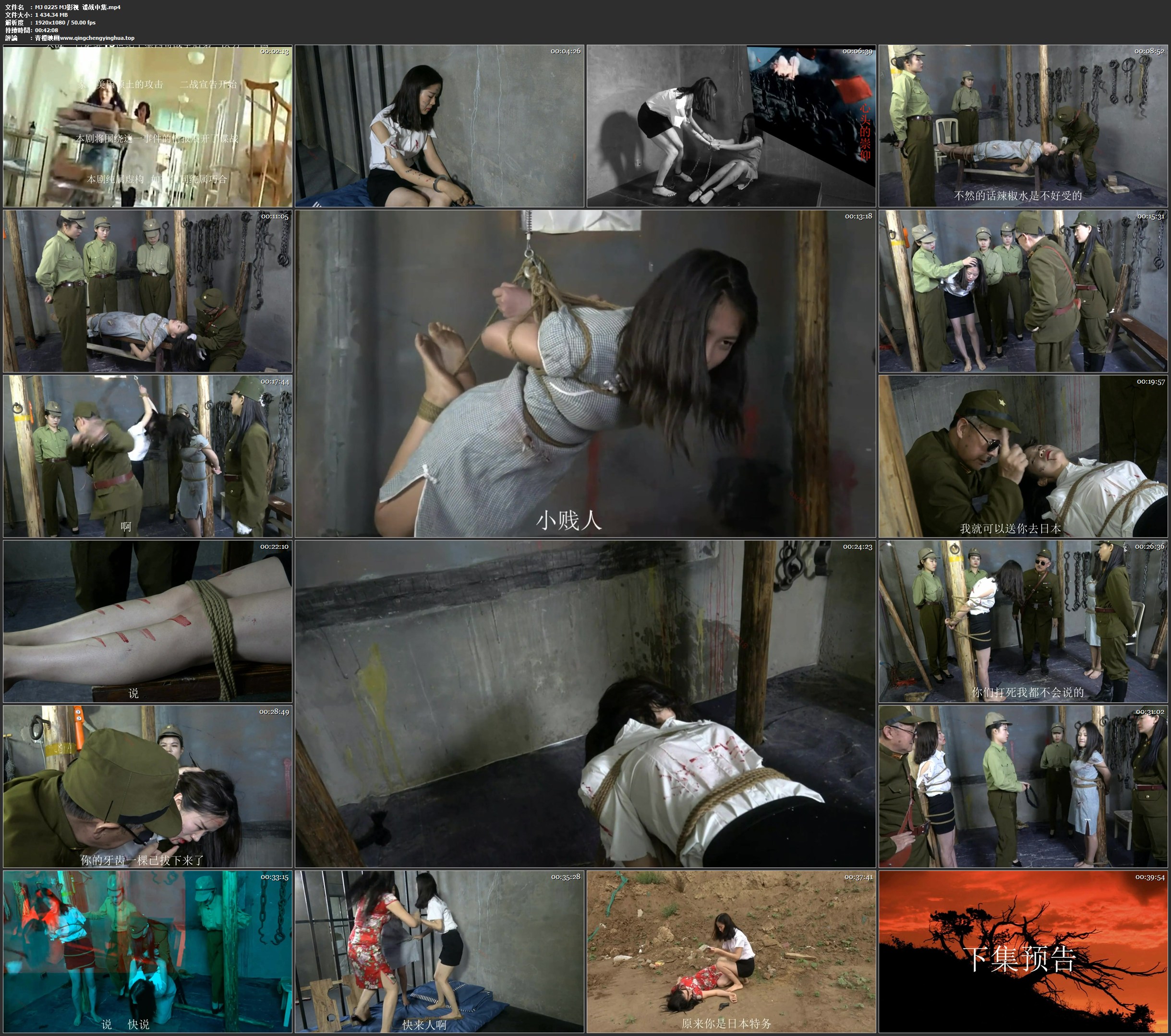 MJ影视 谍战 中集