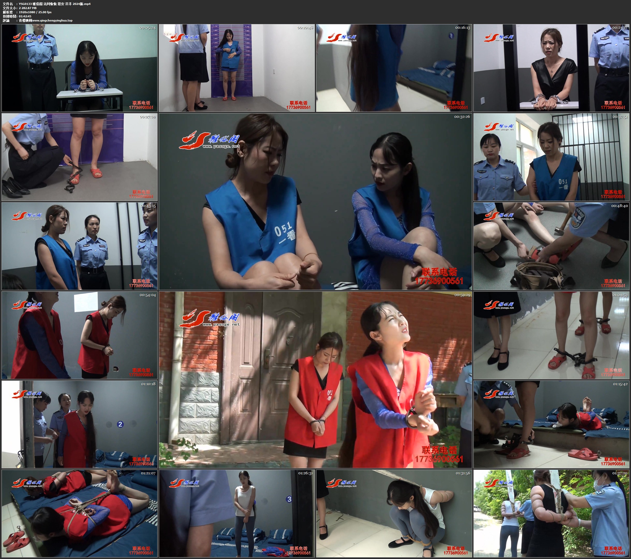 雅俗阁 法网恢恢 思安 洋洋 2024版