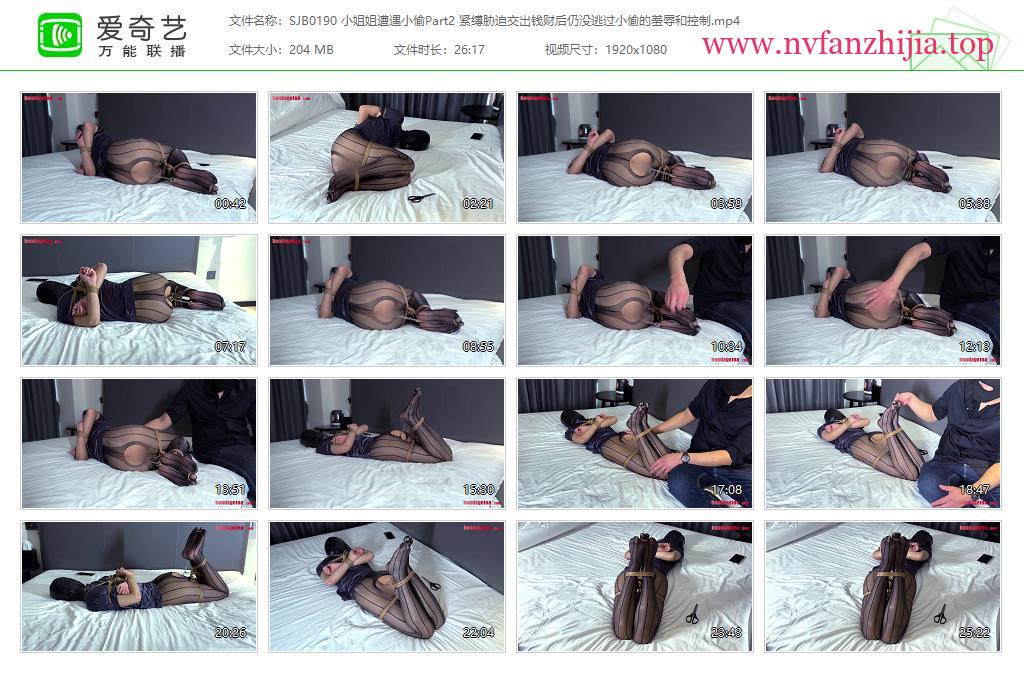 绳精病_小姐姐遭遇小偷Part2