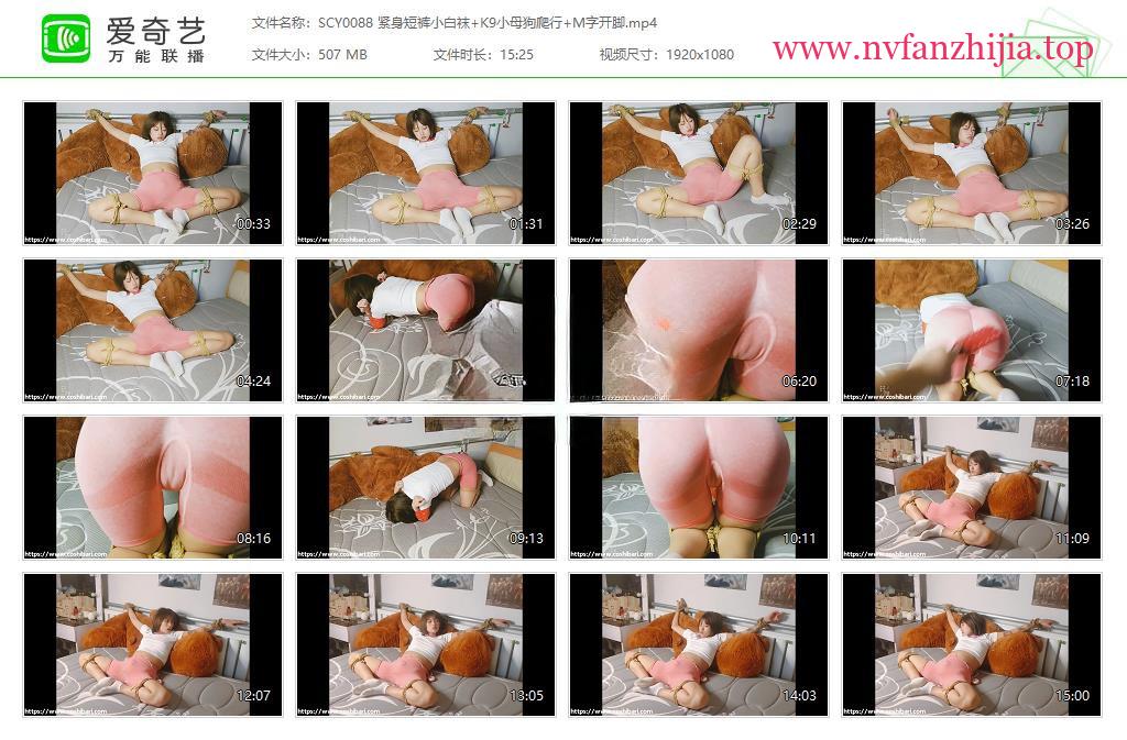 Coshibari绳次元_紧身短裤小白袜+K9小母狗爬行+M字开脚
