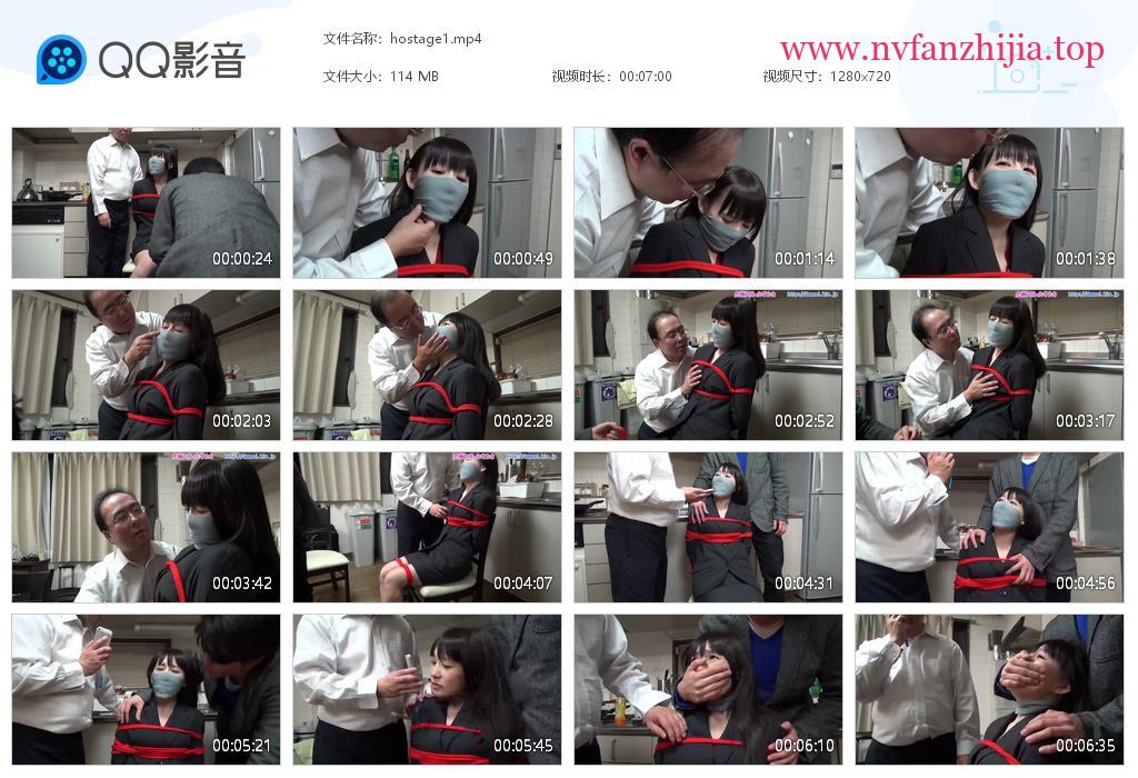 日本危机系列_Hostage
