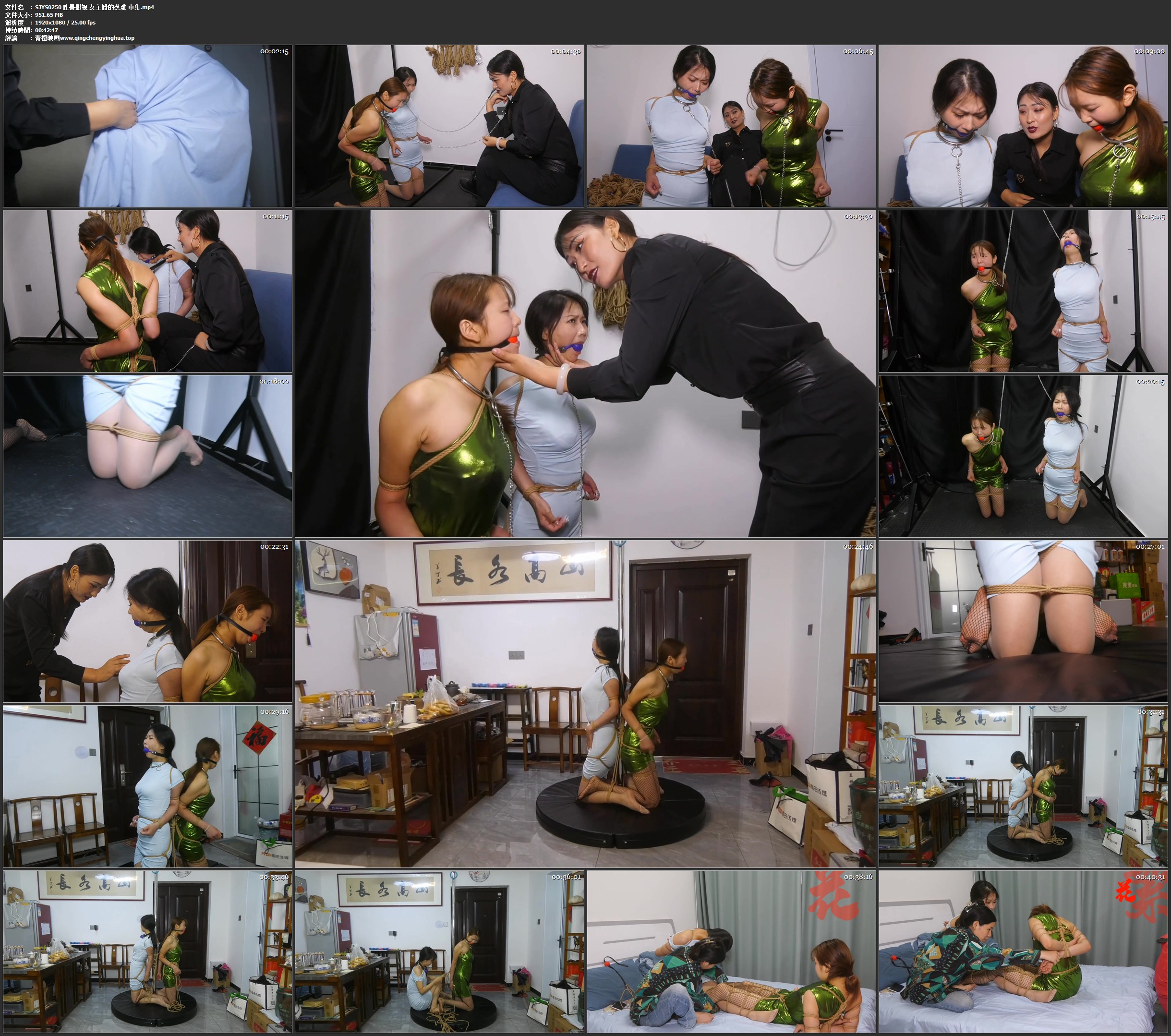 胜景影视 女主播的落难 中集