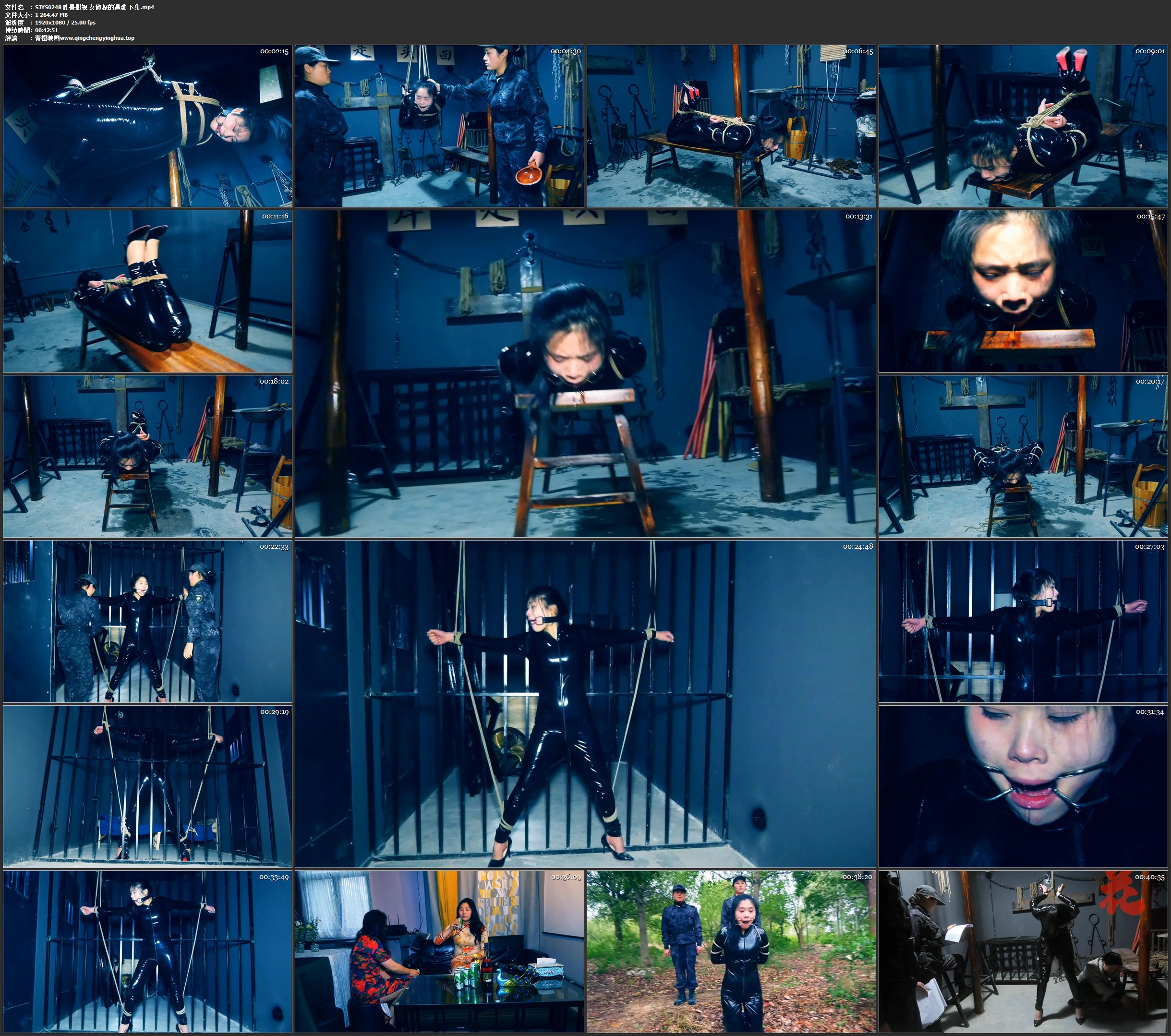 胜景影视 女侦探的遇难 下集