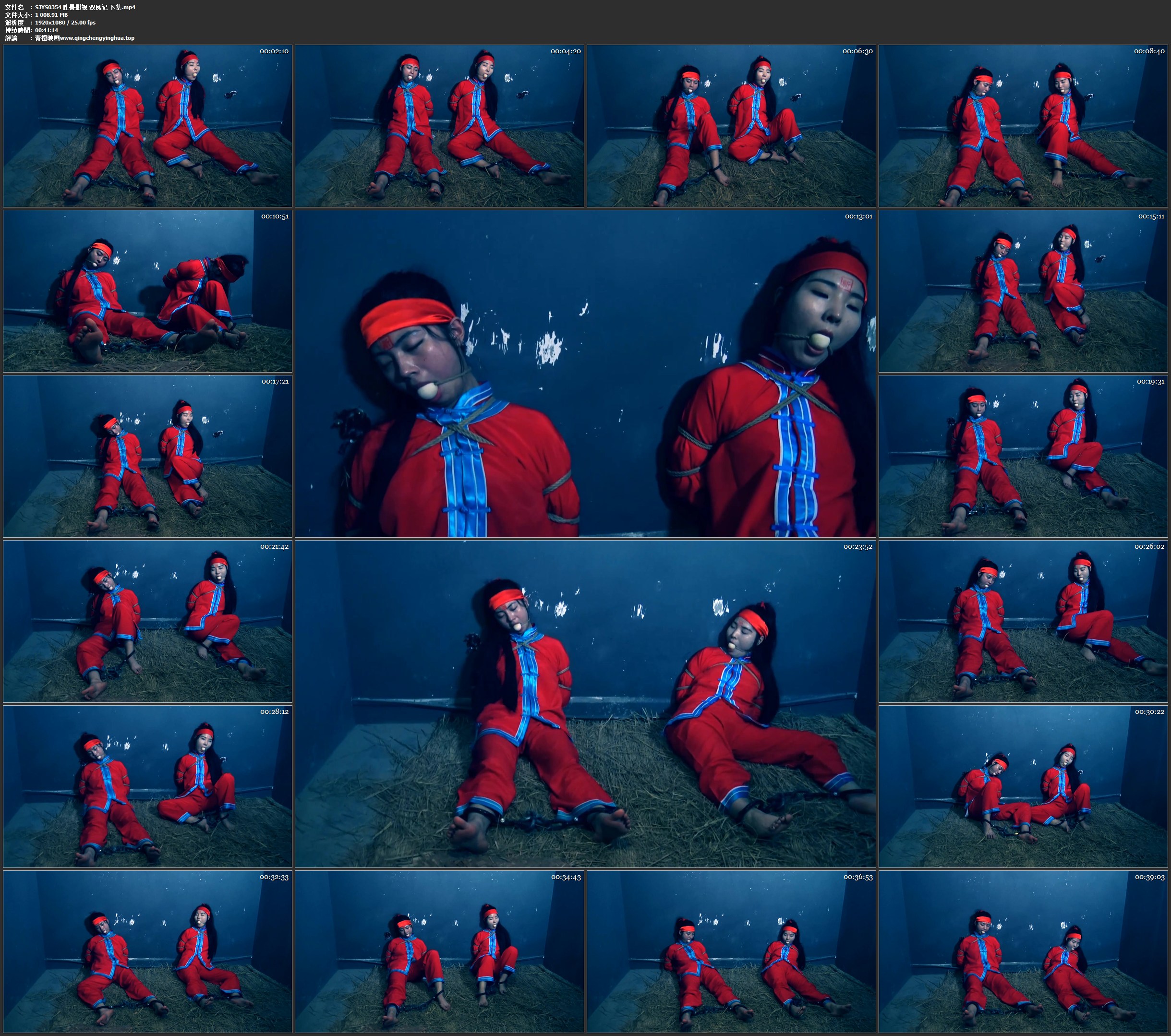 胜景影视 双凤记 下集