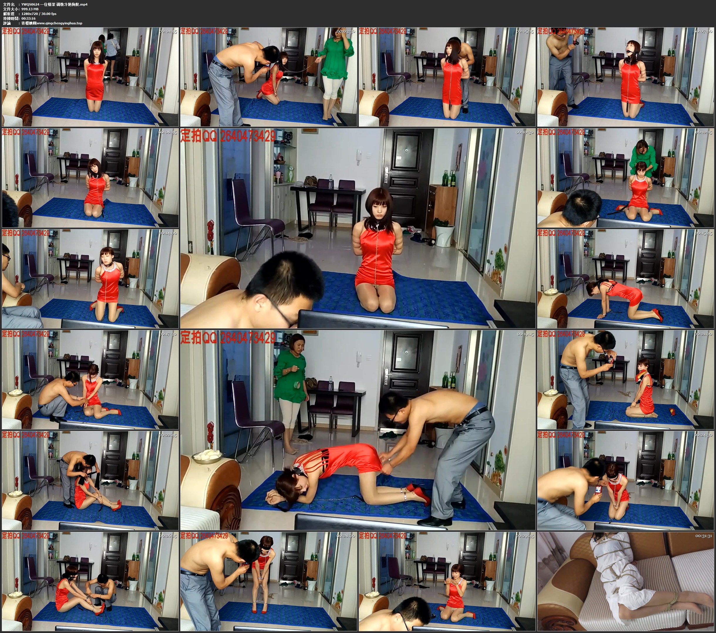 一往情深 调教冷艳狗奴