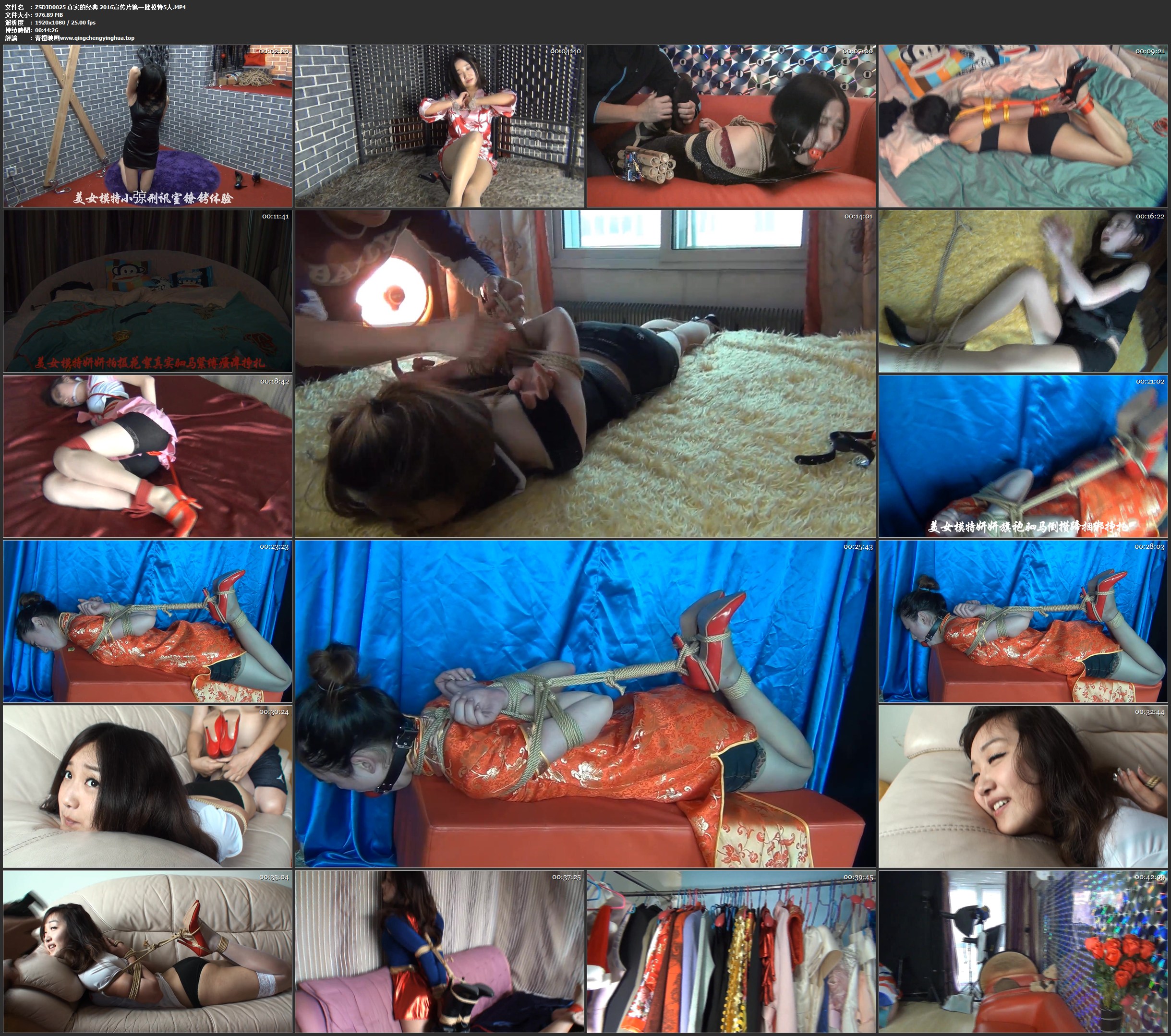 真实的经典 2016宣传片第一批模特5人