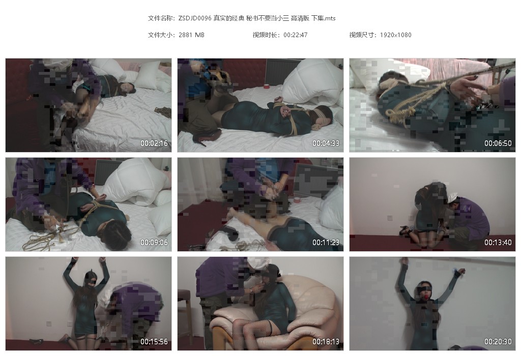 真实的经典 秘书不要当小三 高清版 下集