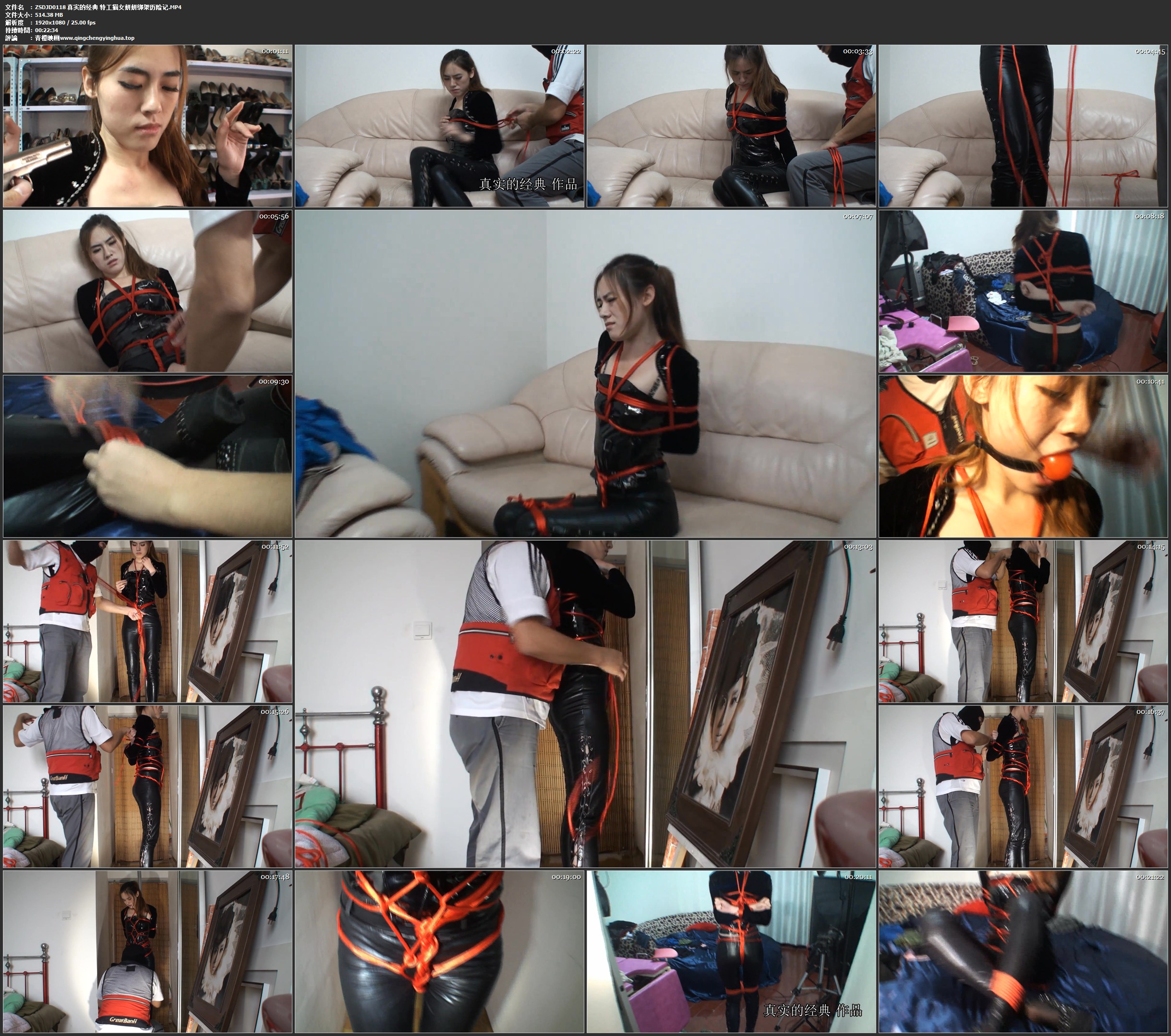 真实的经典 特工猫女妍妍绑架历险记